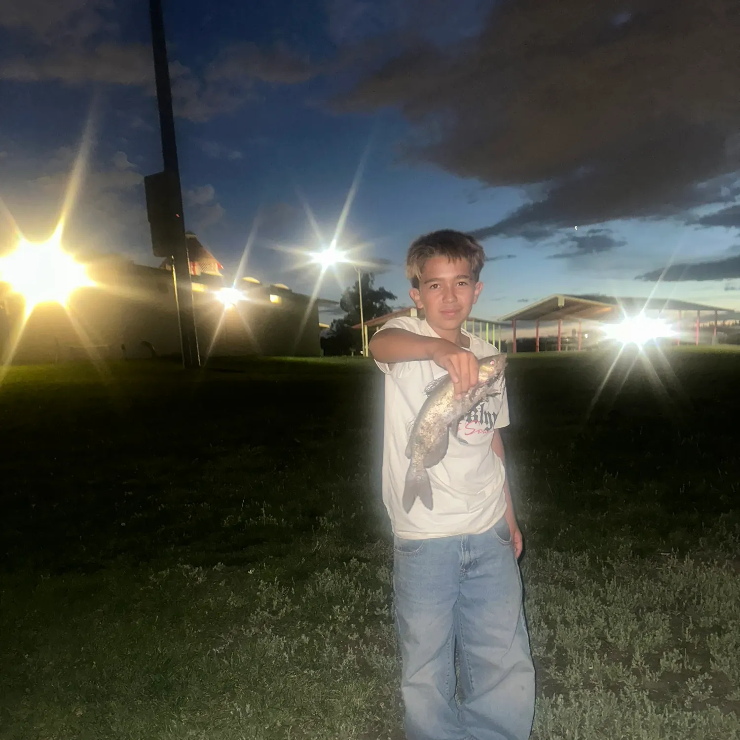 Channel catfish caught on Fishbrain
