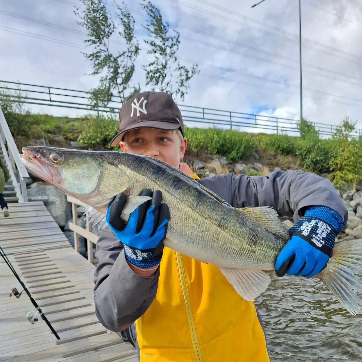 Zander caught on Fishbrain