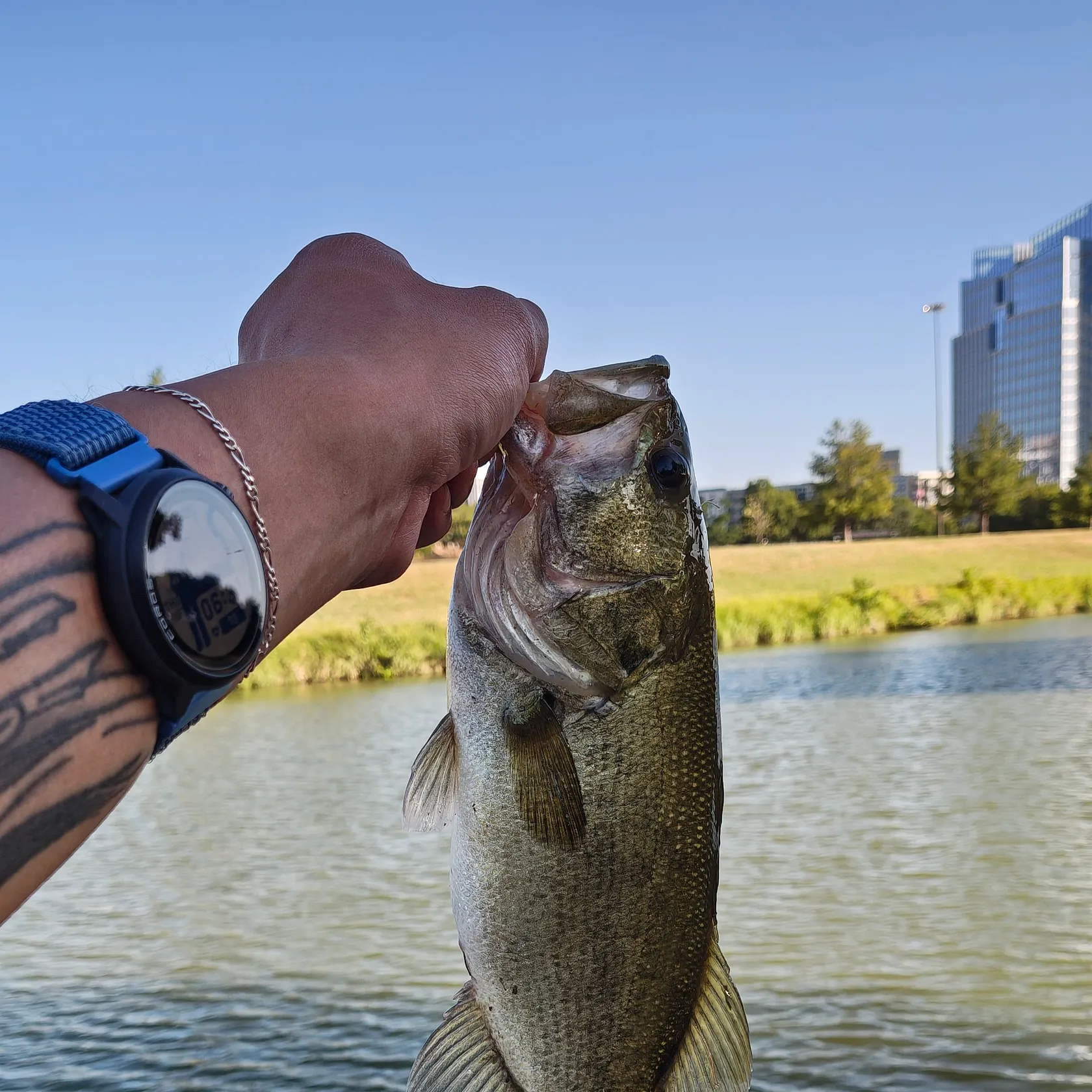 catch