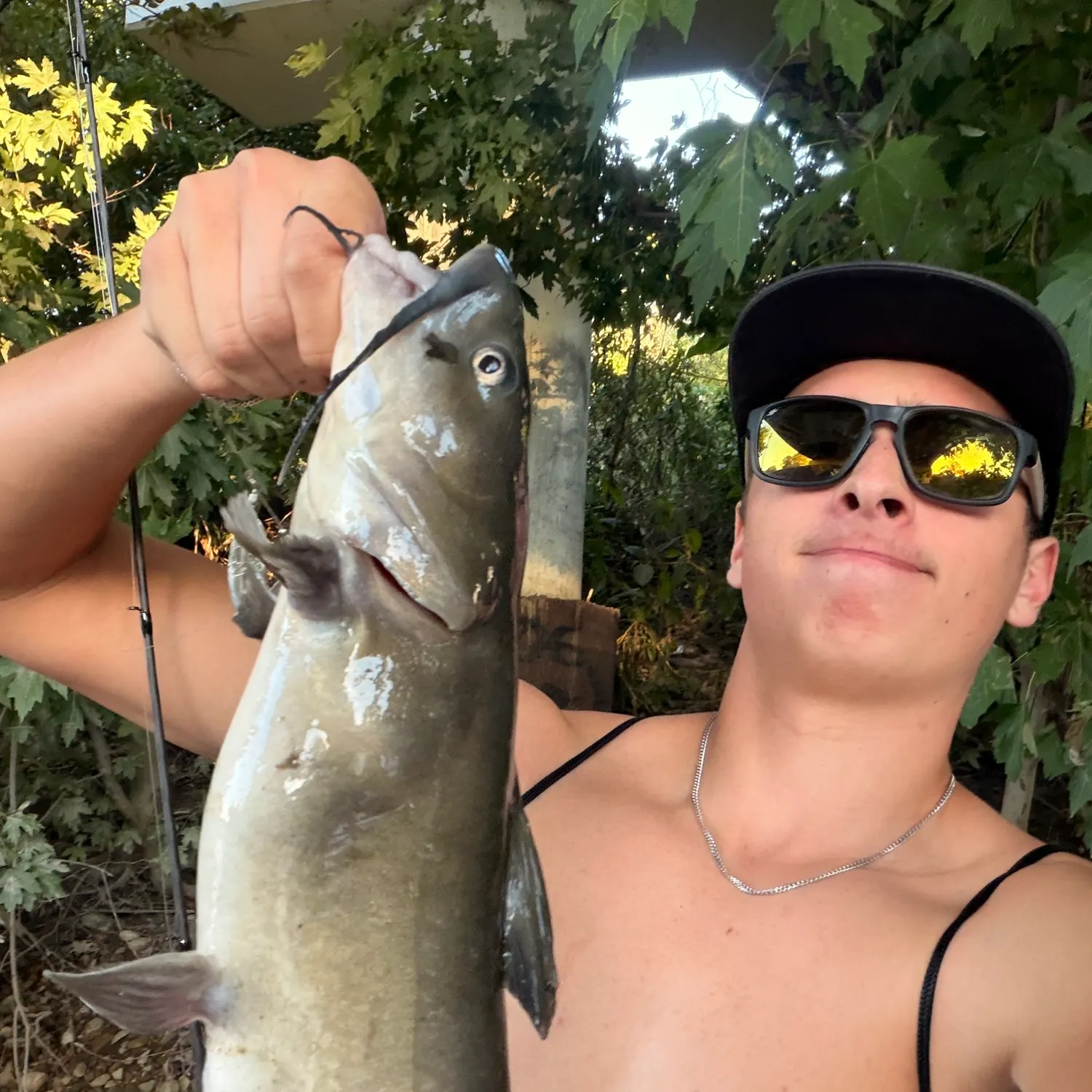 Channel catfish caught on Fishbrain