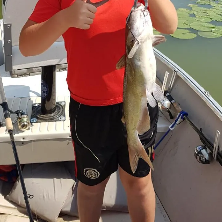 Fish caught on Fishbrain