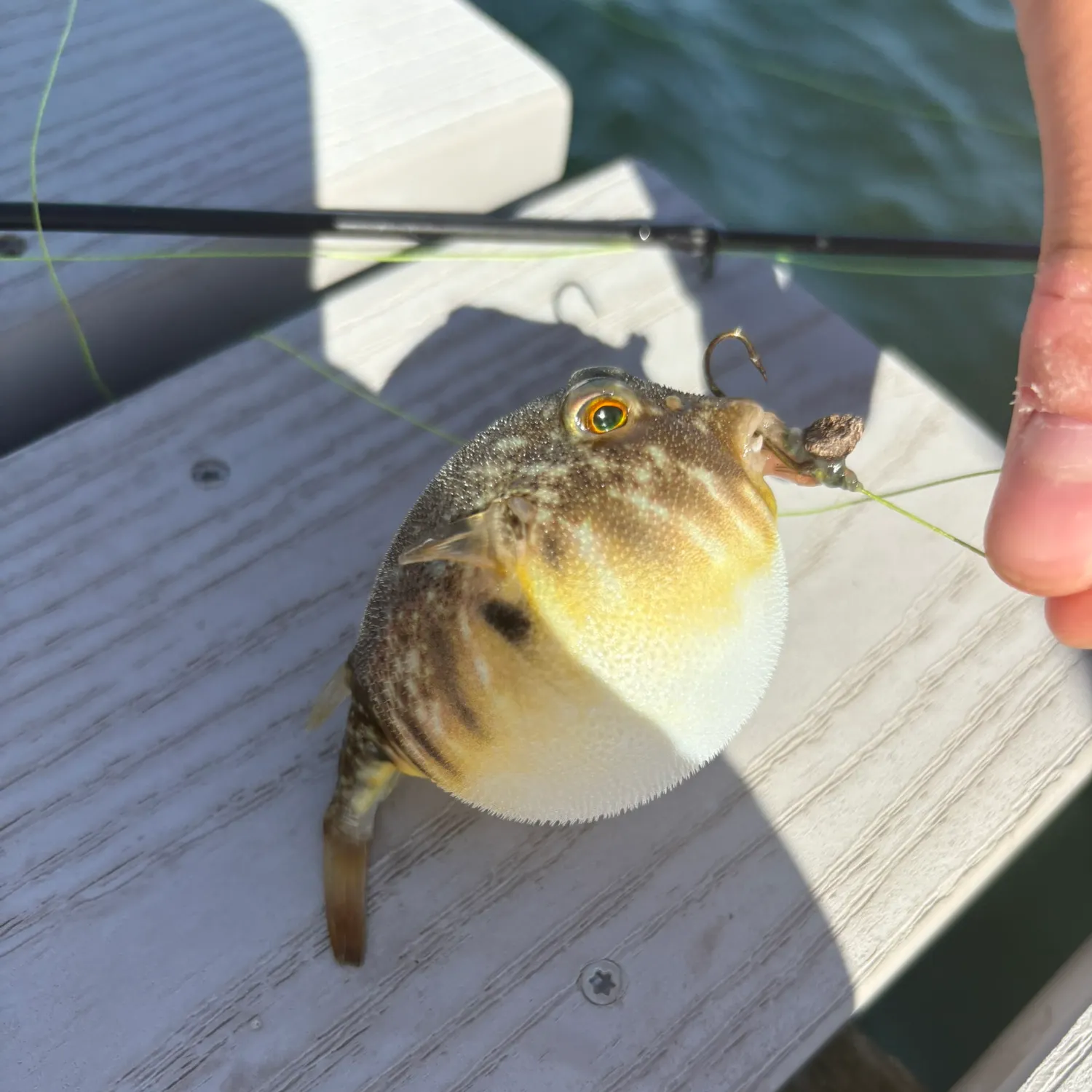 catch
