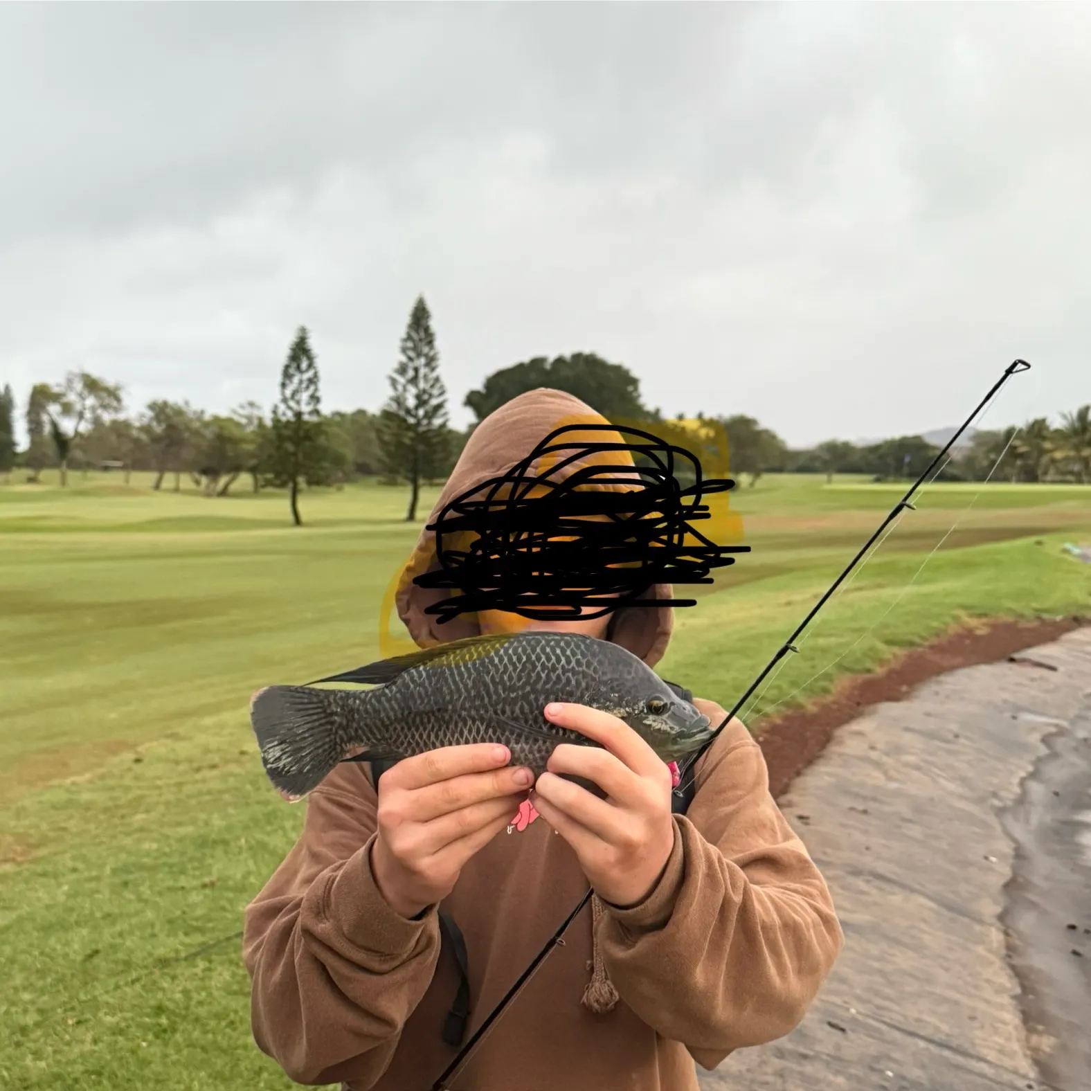 The most recent Nile tilapia catches on Fishbrain