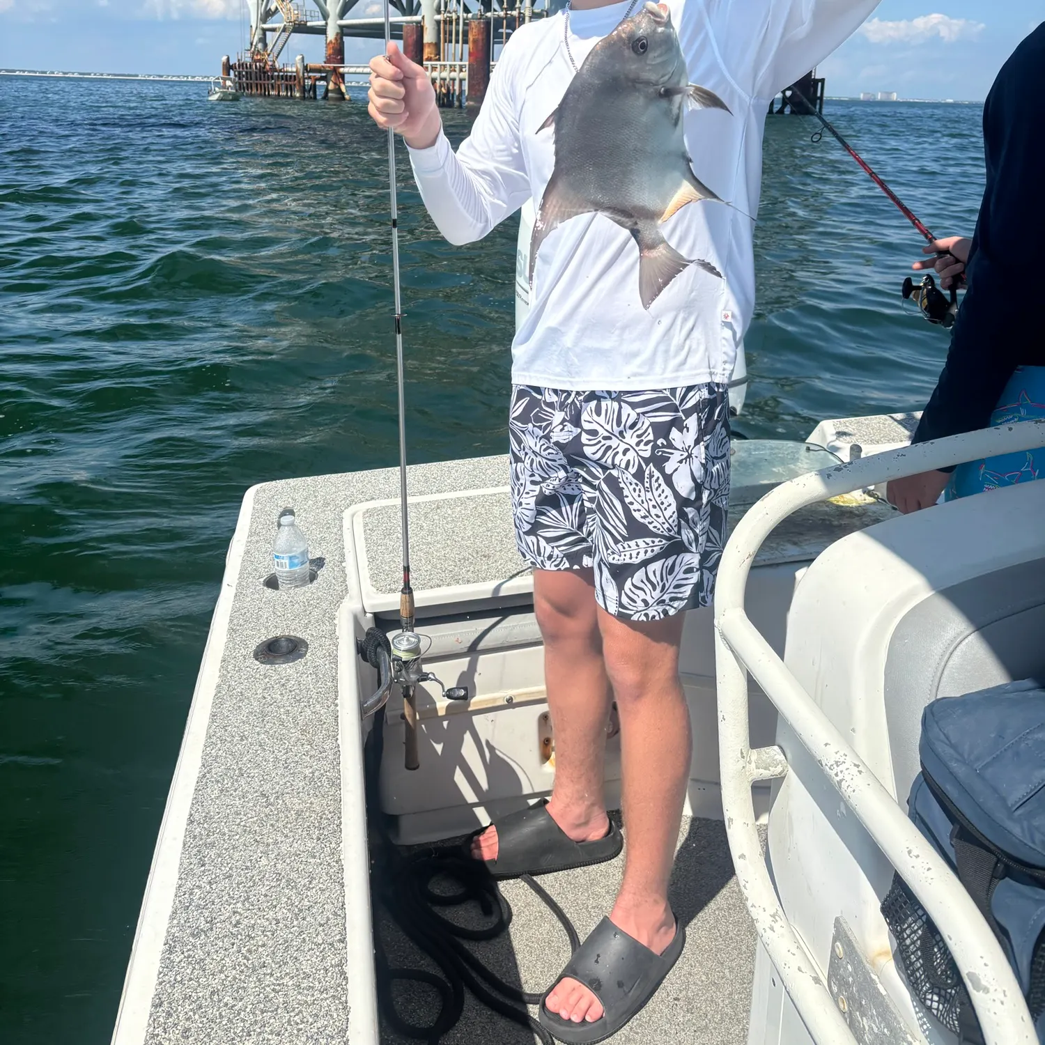 The most recent Atlantic spadefish catches on Fishbrain