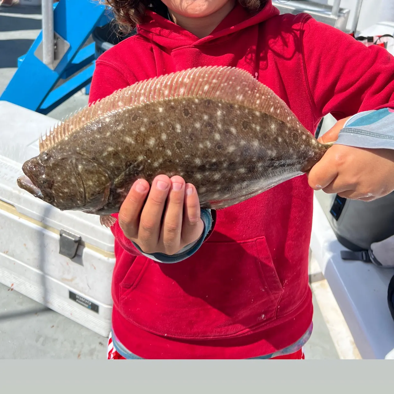 The most recent Summer flounder catches on Fishbrain
