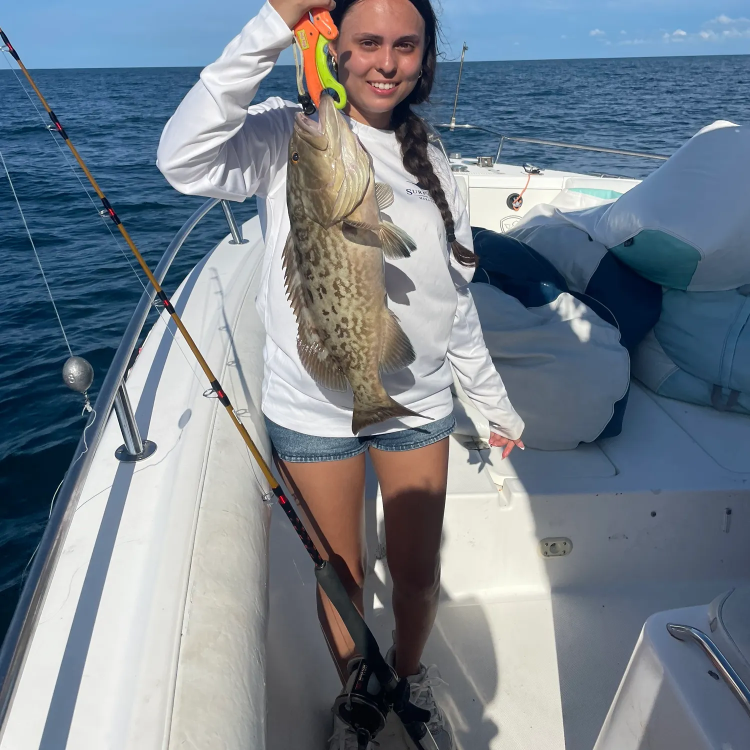 The most recent Gag grouper catches on Fishbrain