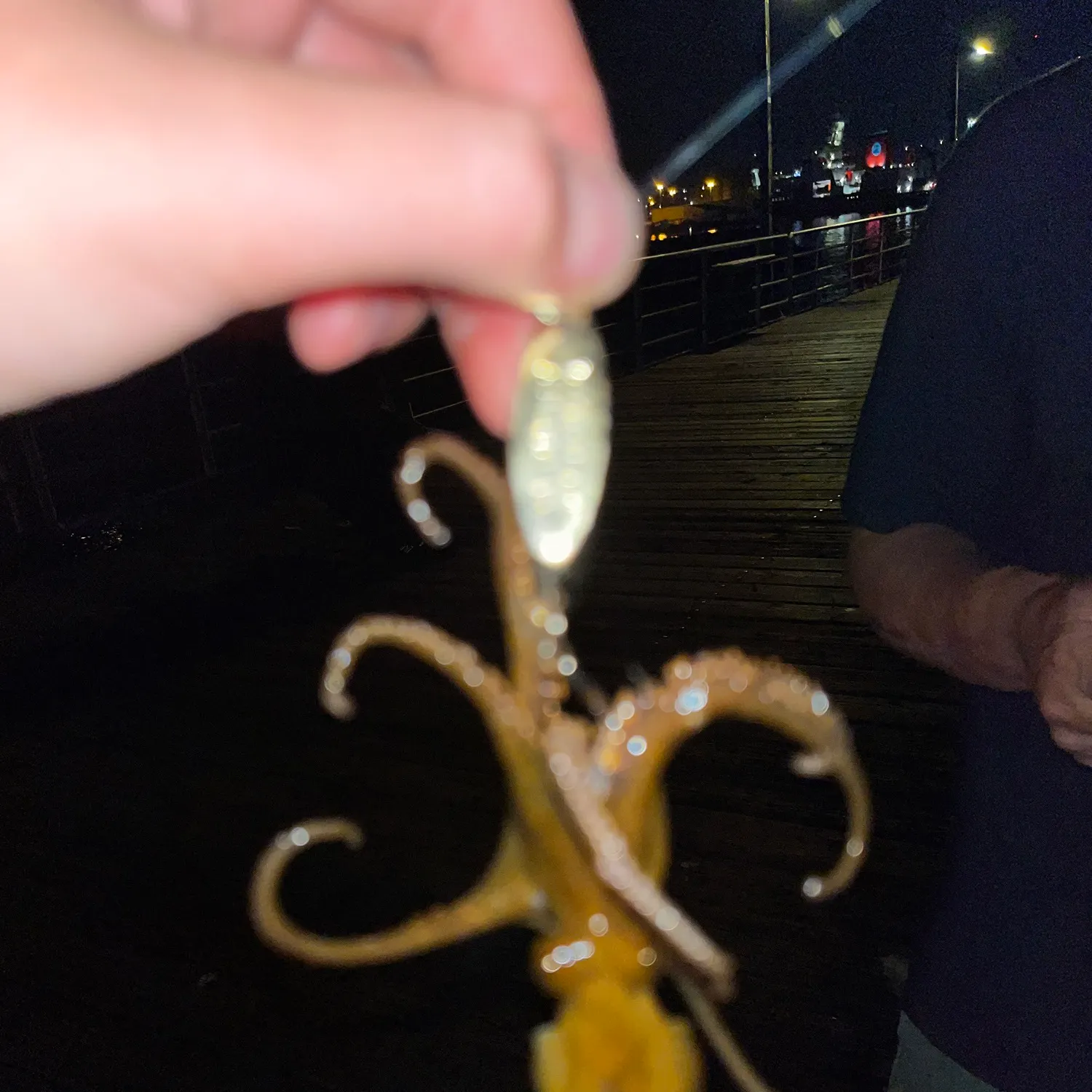 California two-spot octopus caught on Fishbrain