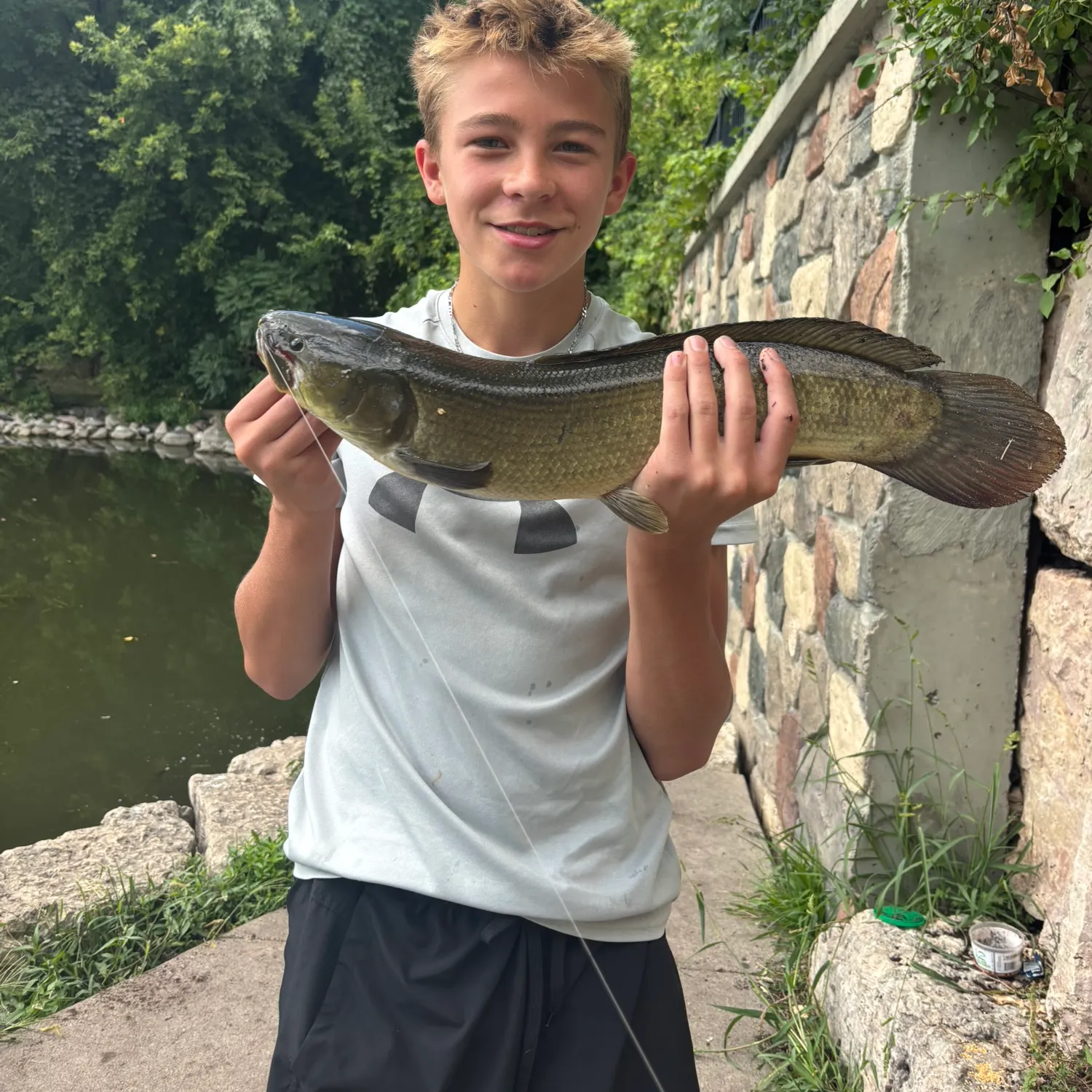Ruddy bowfin caught on Fishbrain