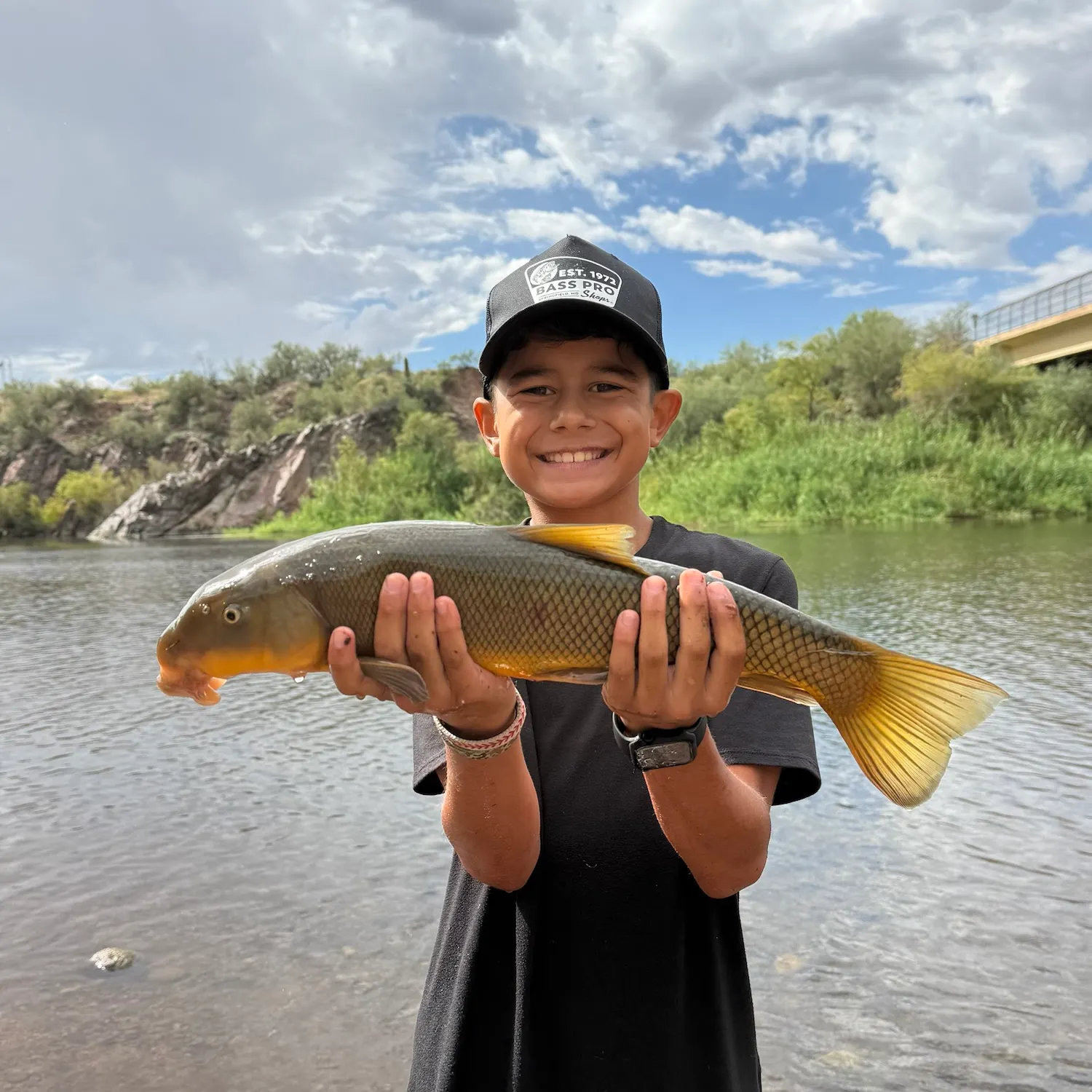 Fish caught on Fishbrain