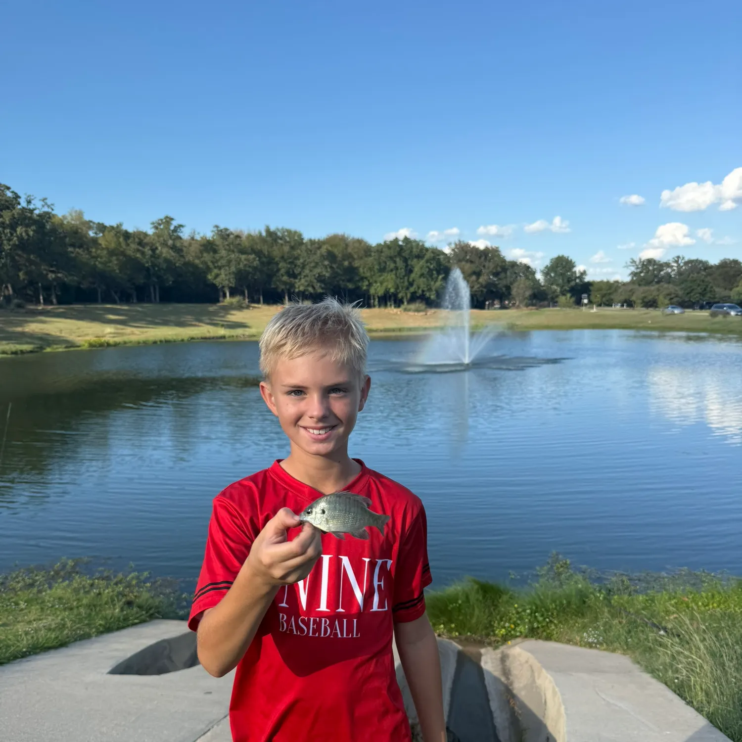 The most recent Redbreast sunfish x bluegill catches on Fishbrain