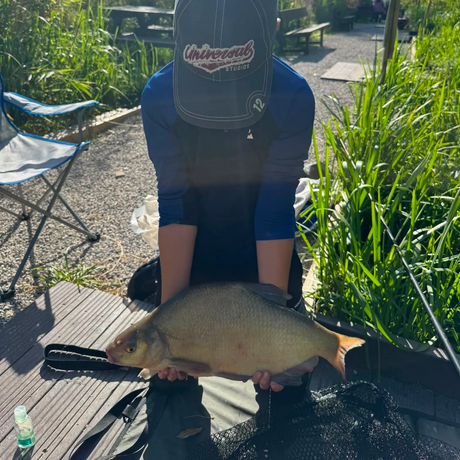 Common bream caught on Fishbrain
