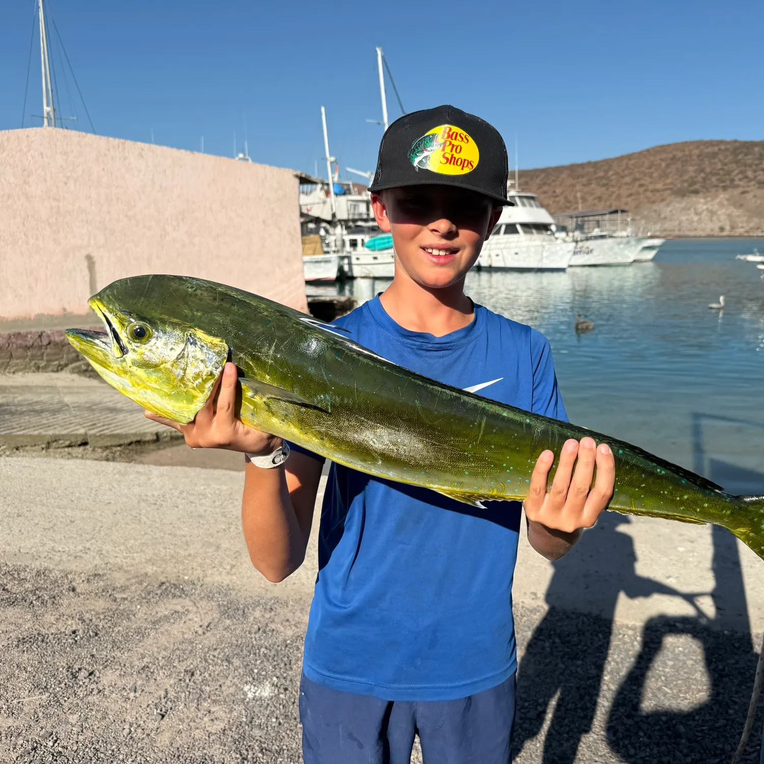 The most recent Common dolphinfish catches on Fishbrain