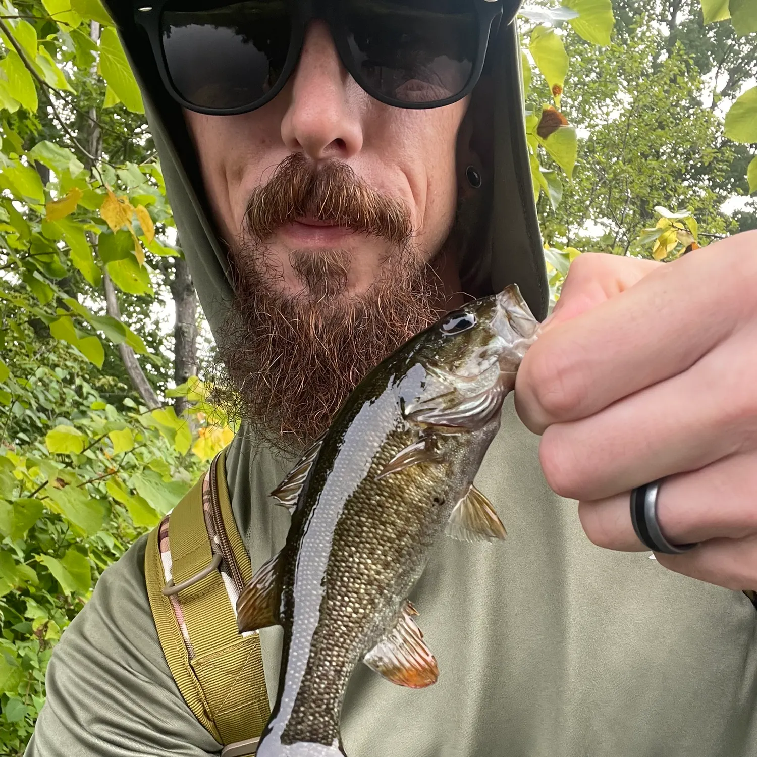 Smallmouth bass caught on Fishbrain