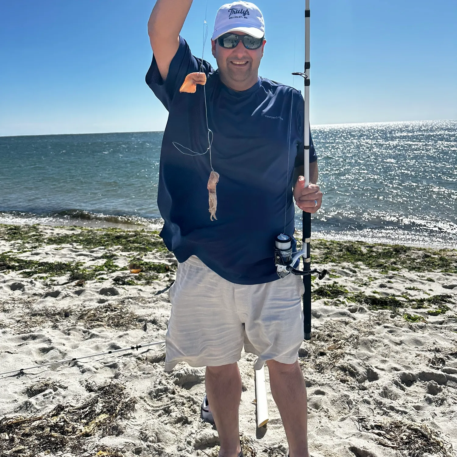 The most recent Ocellate lady crab catches on Fishbrain