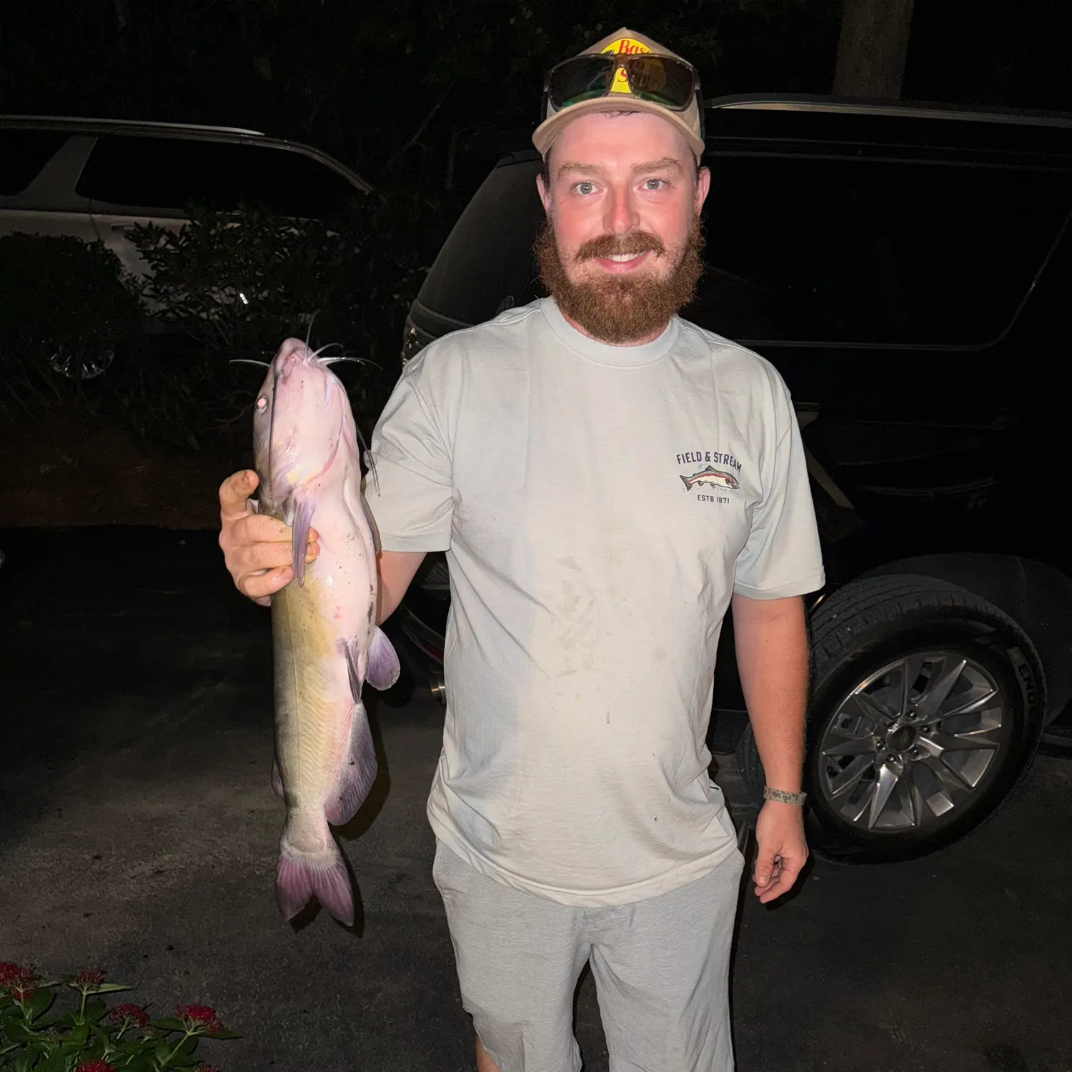 Channel catfish caught on Fishbrain