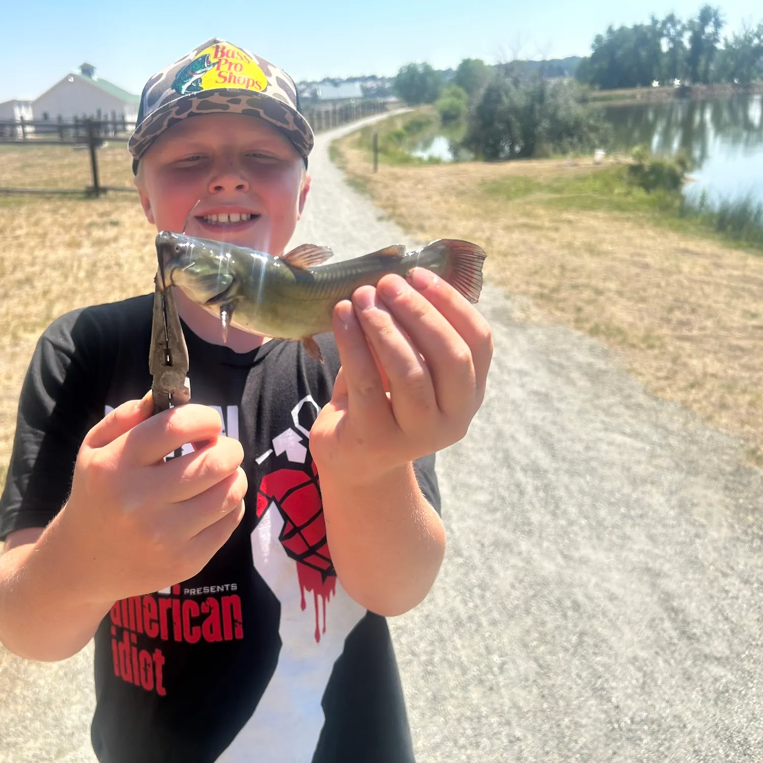 Channel catfish caught on Fishbrain