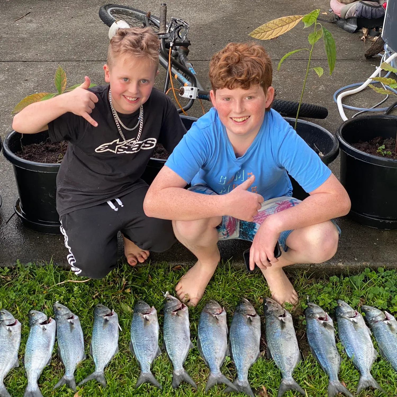 recently logged catches