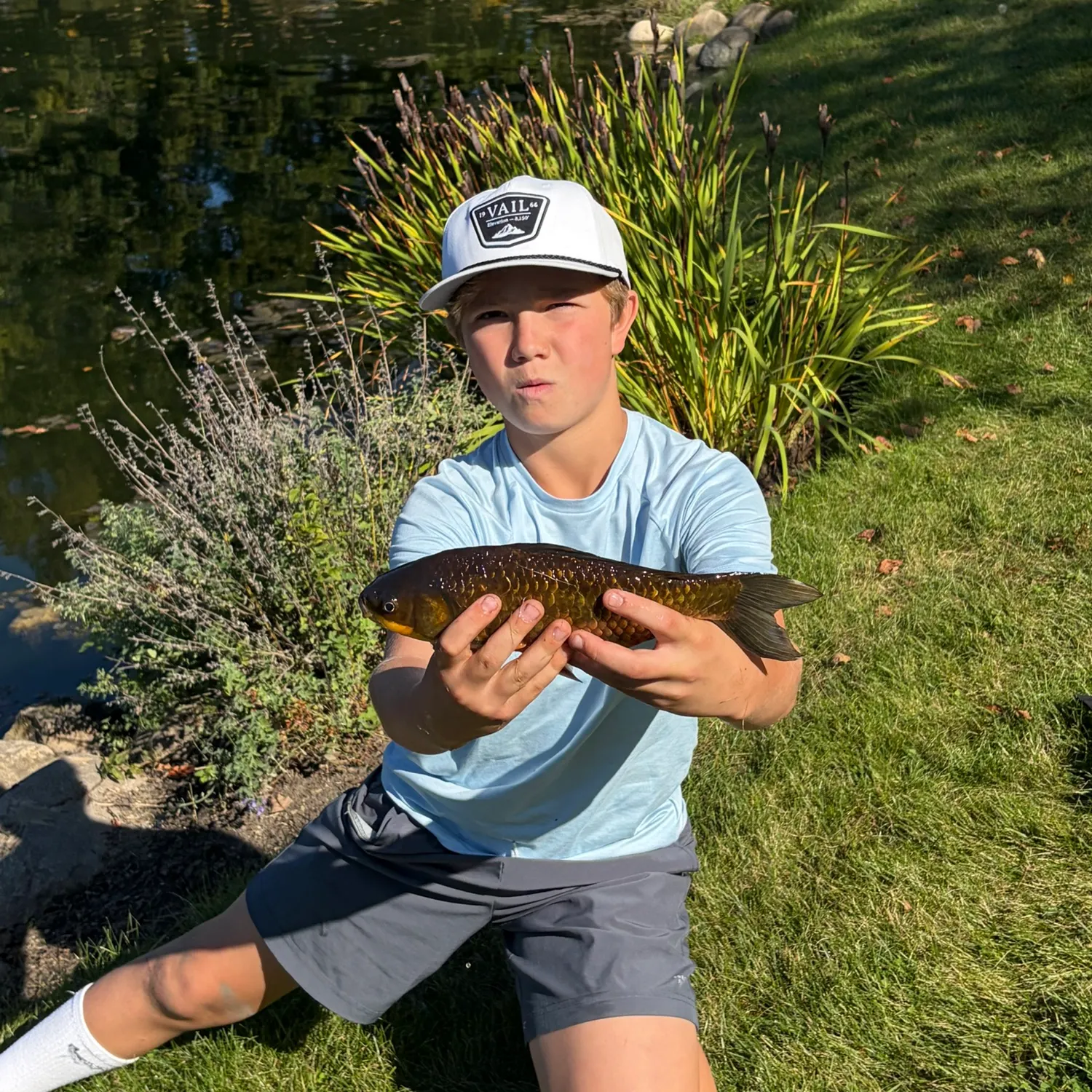 The most recent Koi x common carp catches on Fishbrain