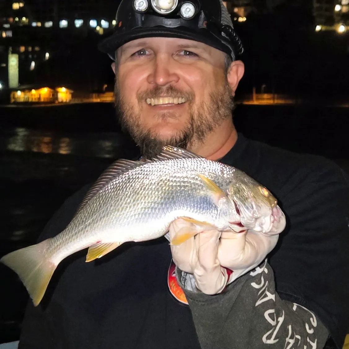 Yellowfin croaker caught on Fishbrain