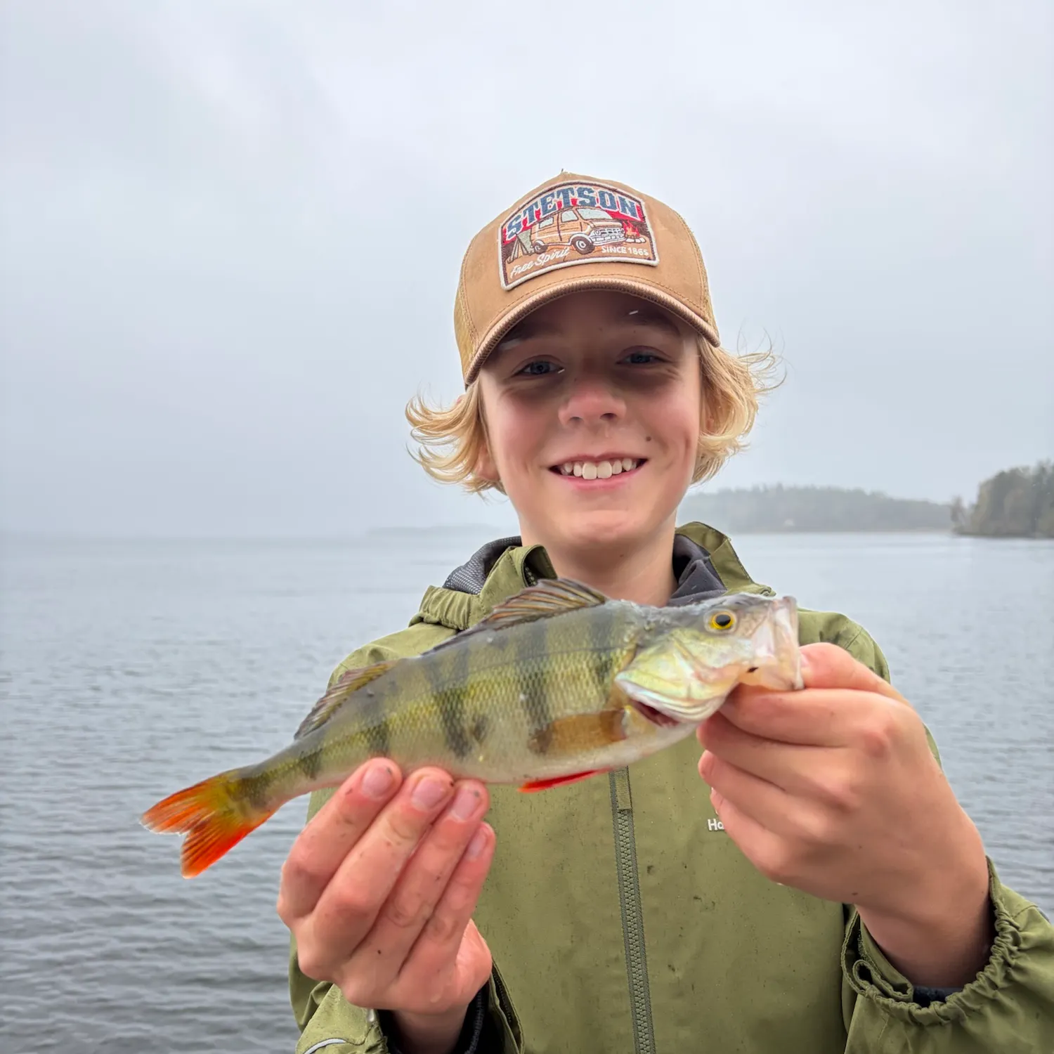European perch caught on Fishbrain