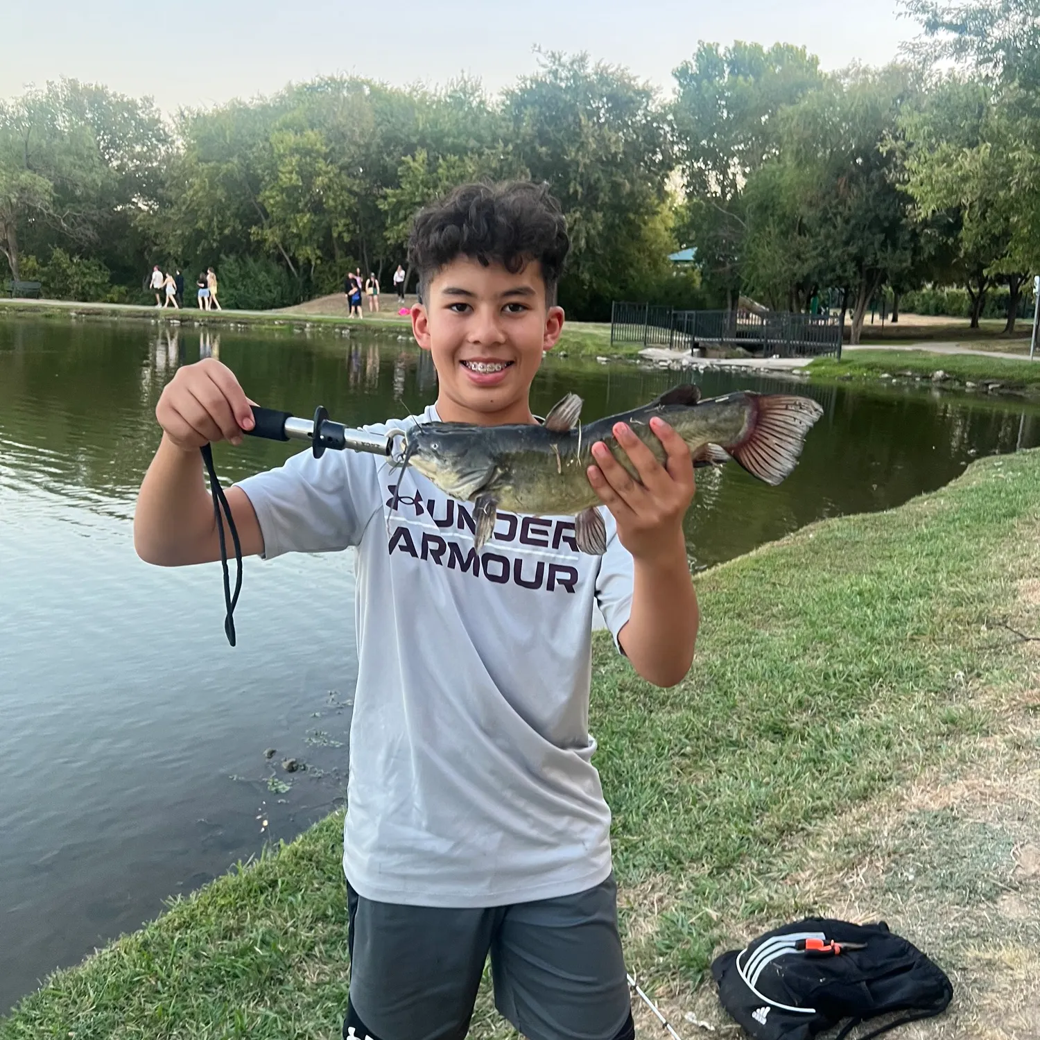 Yellow bullhead caught on Fishbrain