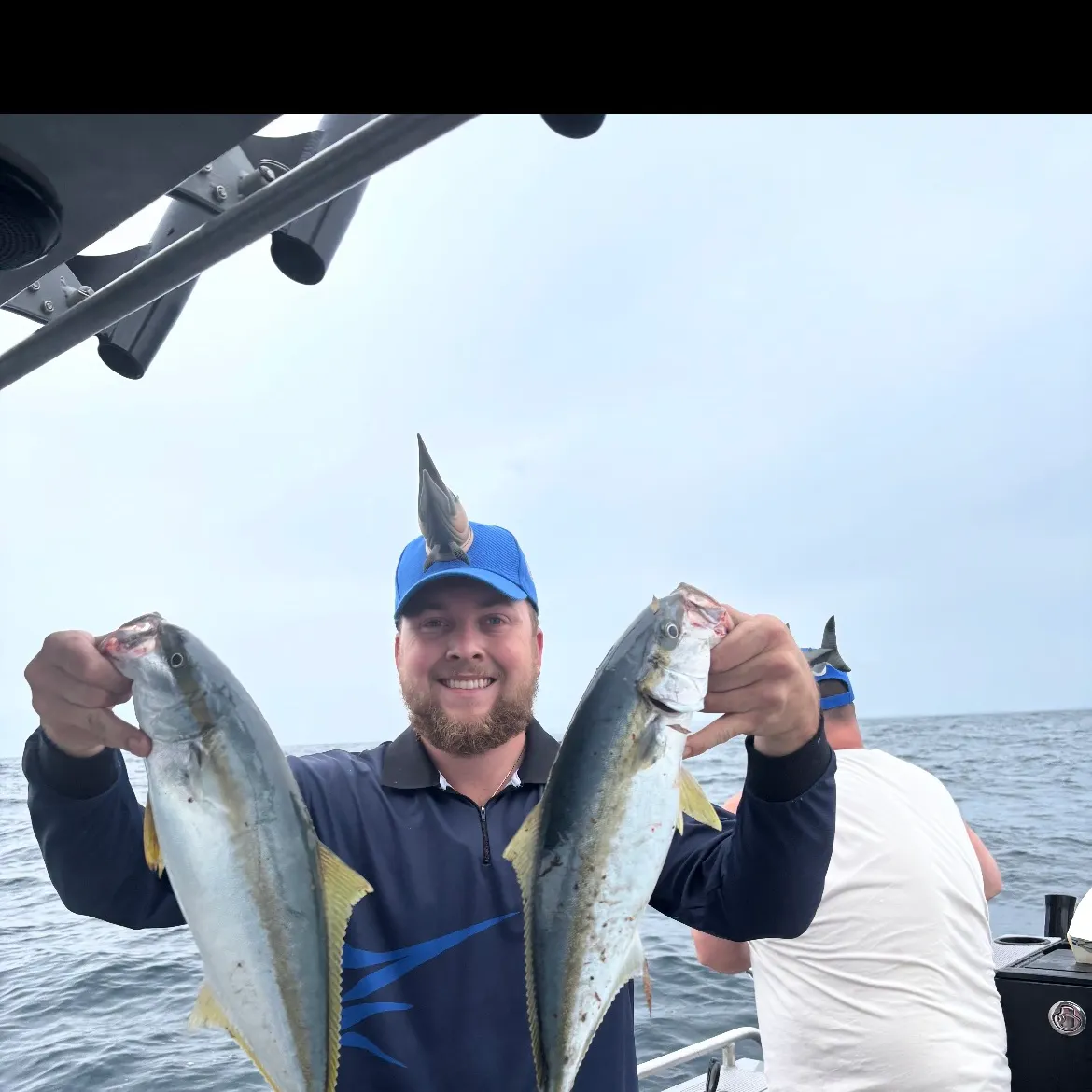Southern yellowtail amberjack caught on Fishbrain