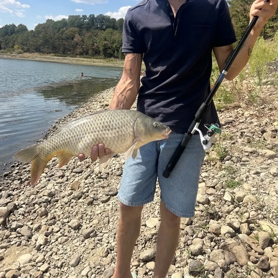 Smallmouth buffalo caught on Fishbrain