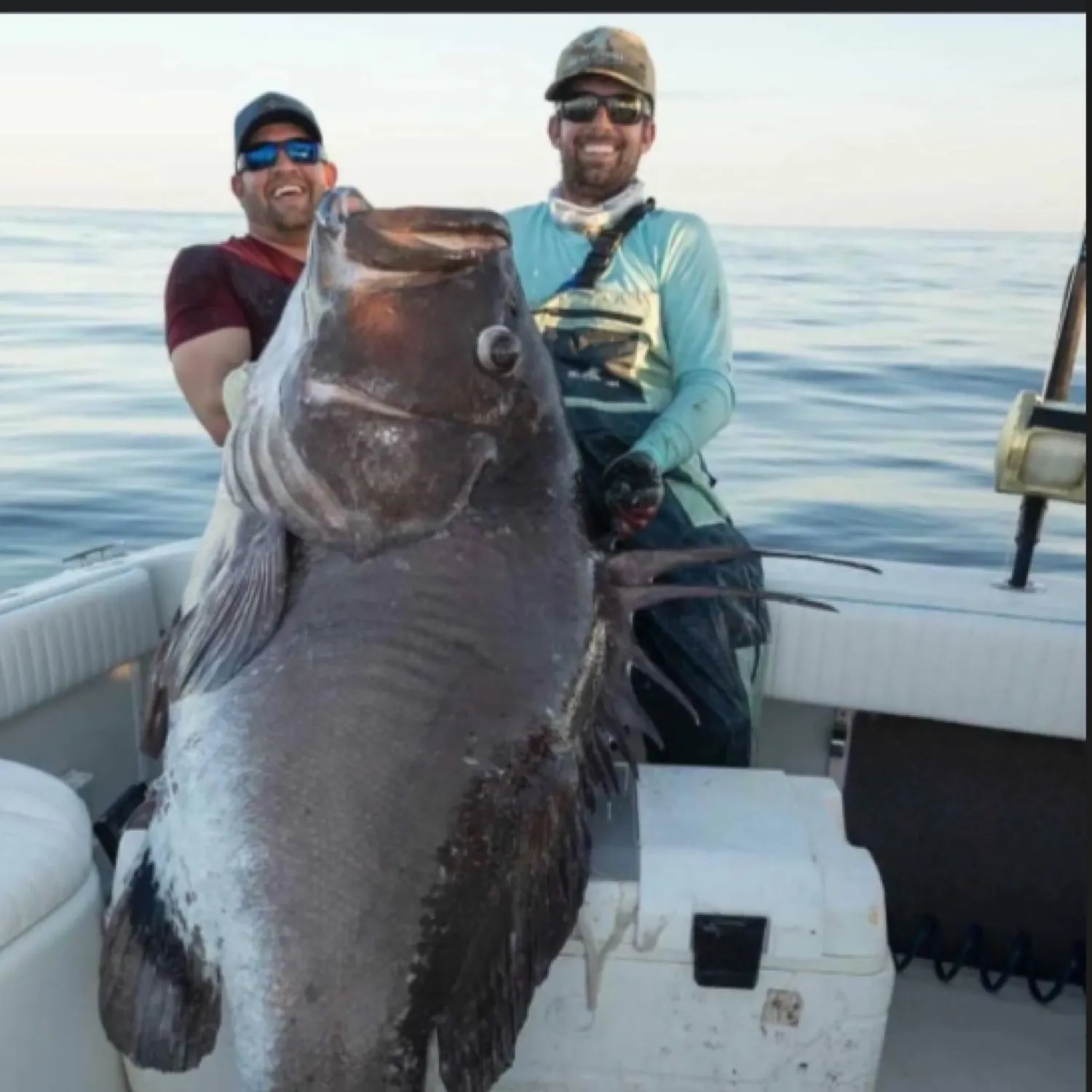 The most popular recent Warsaw grouper catch on Fishbrain