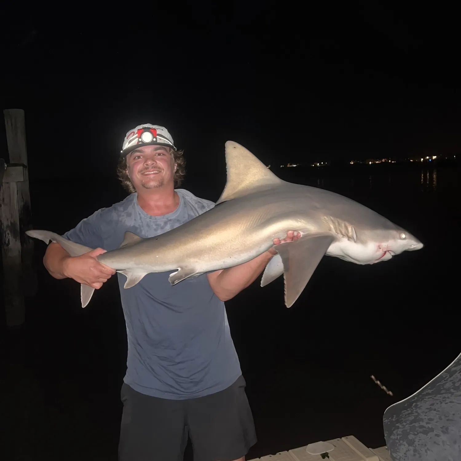 Sandbar shark caught on Fishbrain