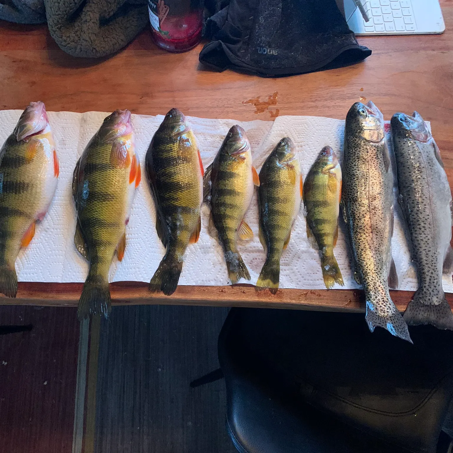 recently logged catches