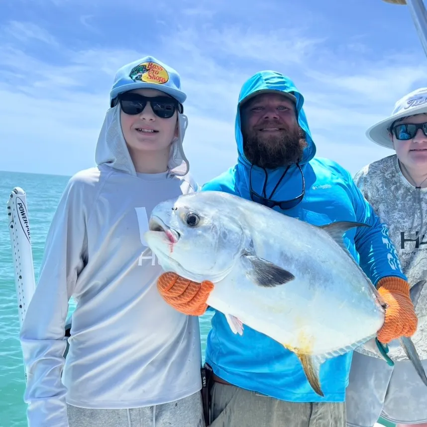 The most recent Permit catches on Fishbrain