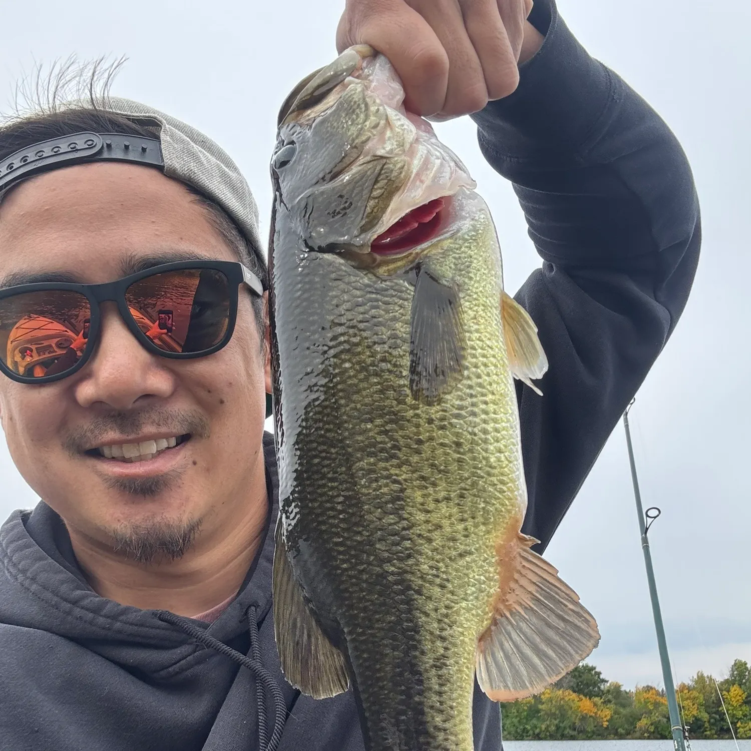 Largemouth bass caught on Fishbrain