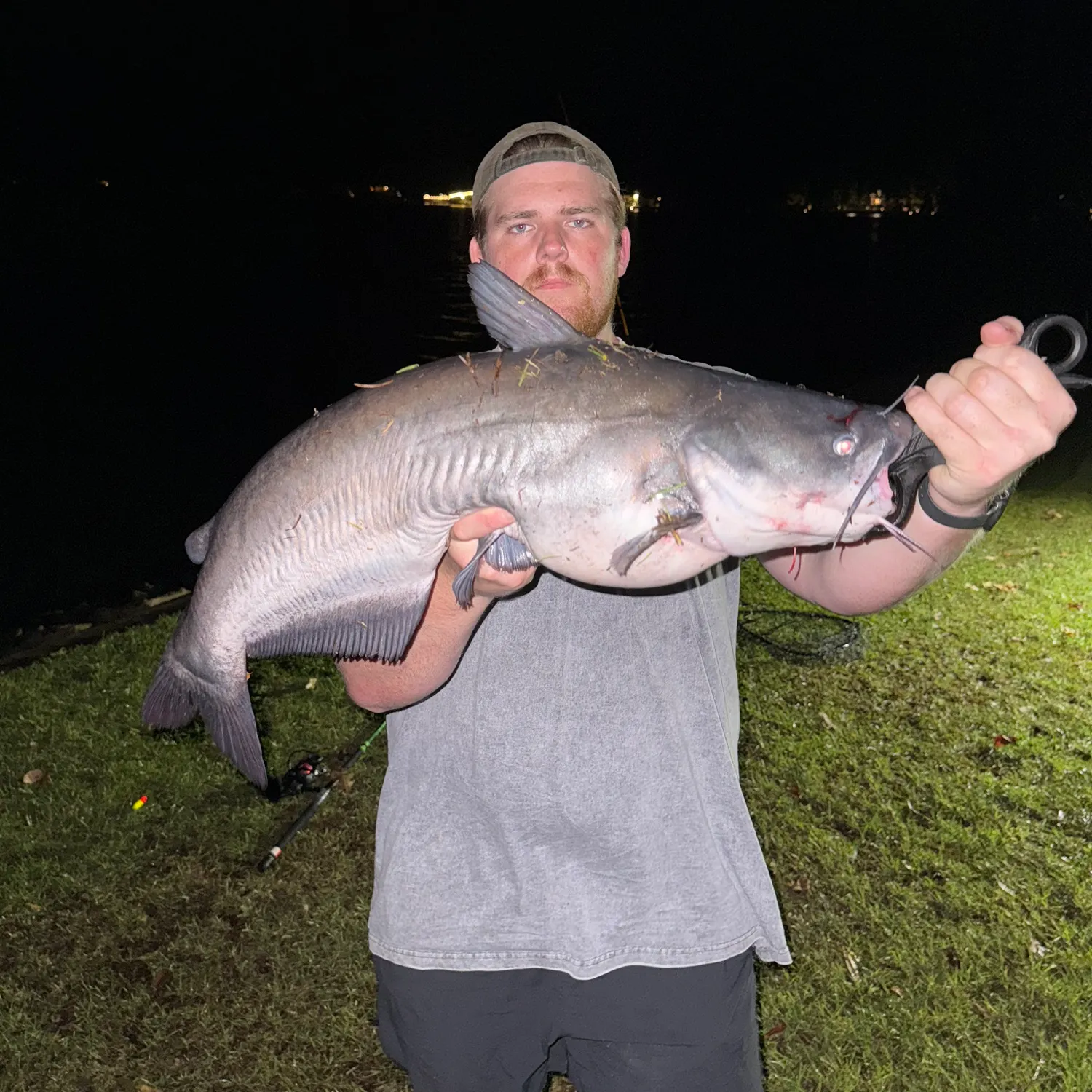 Blue catfish caught on Fishbrain