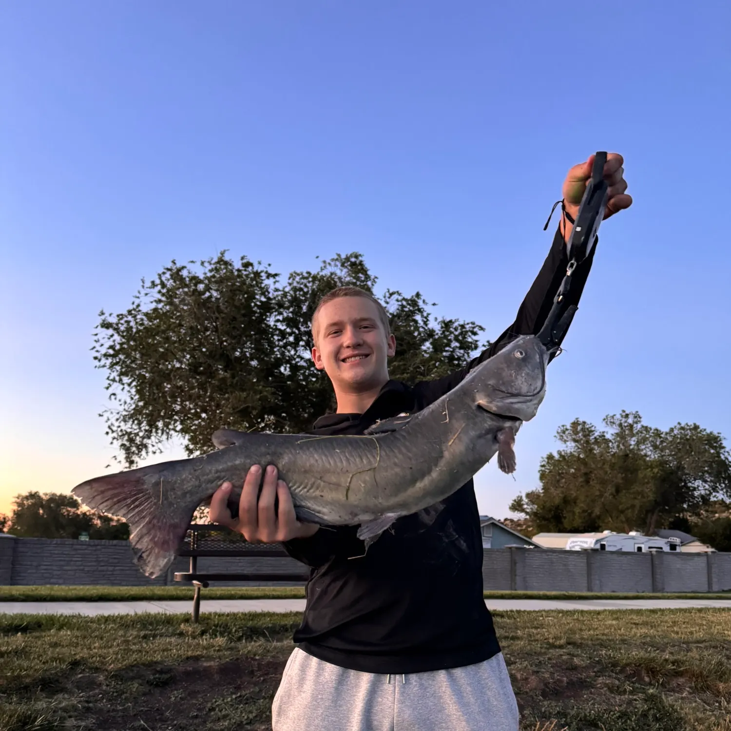 catch