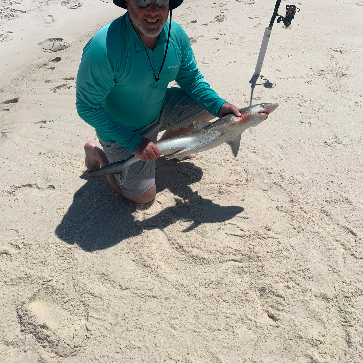 The most recent Atlantic sharpnose shark catches on Fishbrain