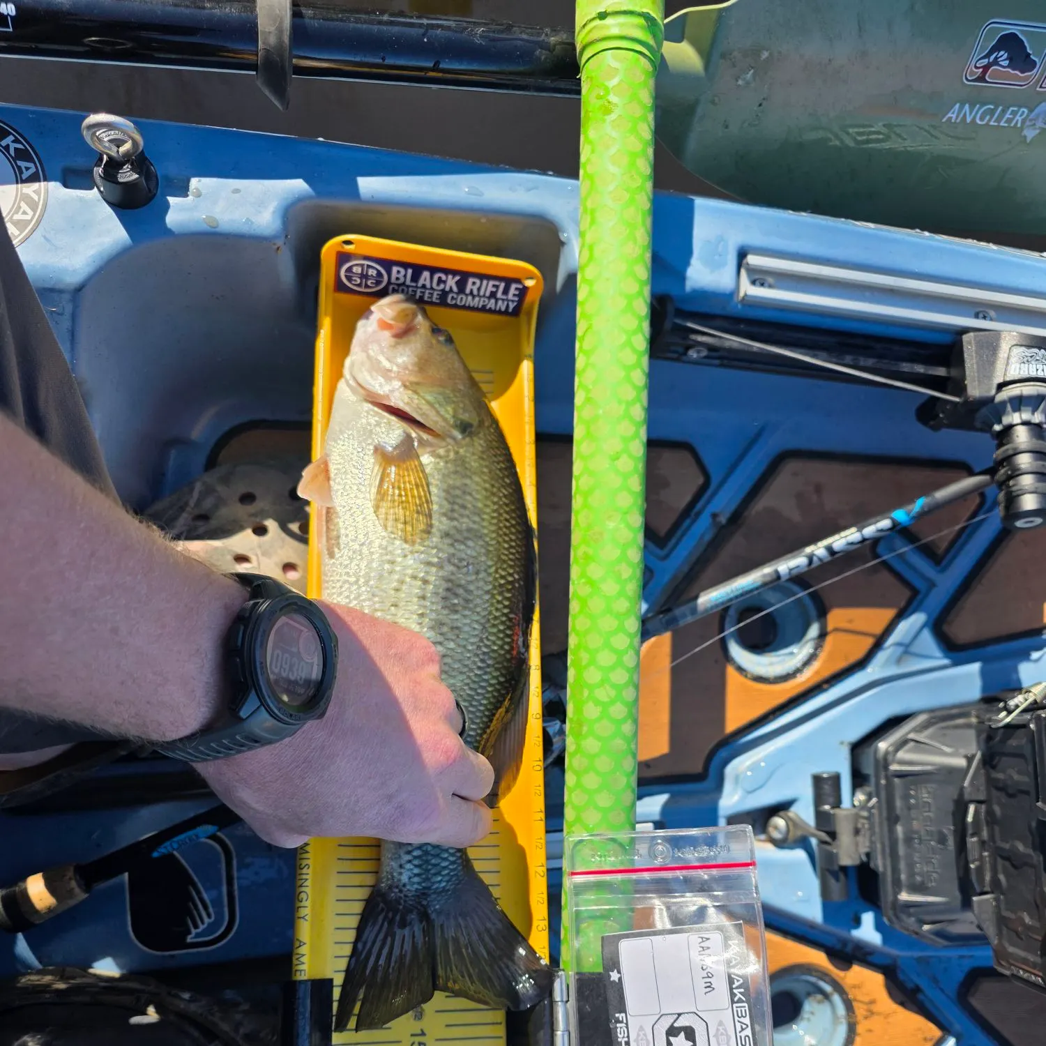 recently logged catches