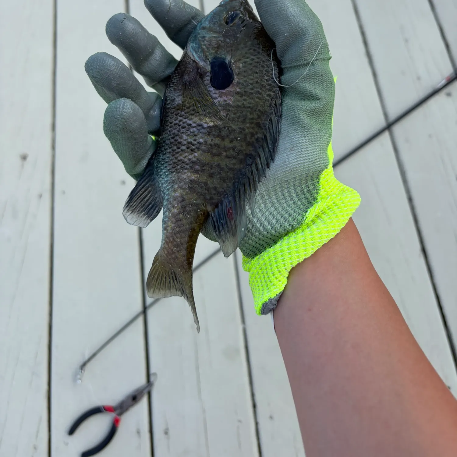 catch