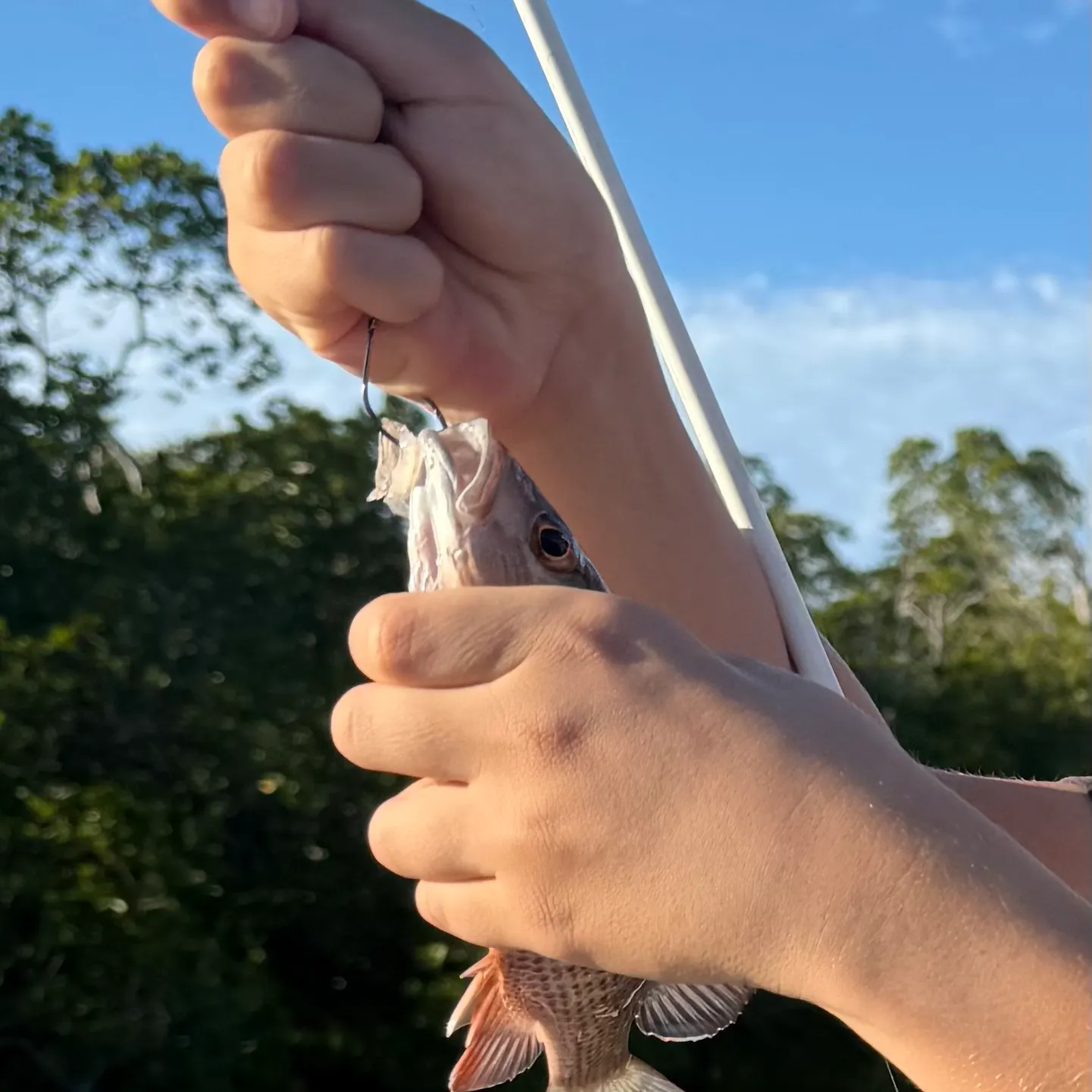 catch