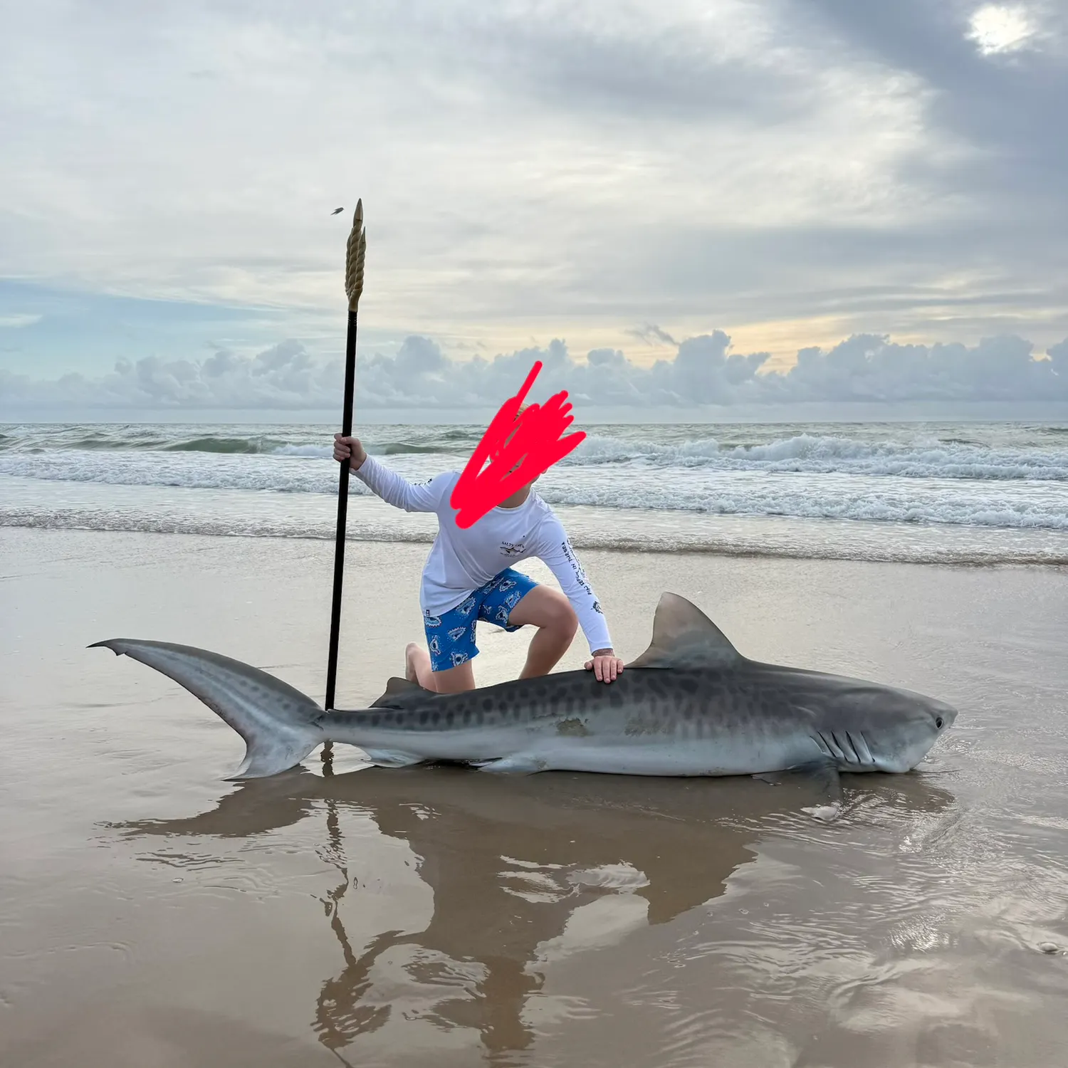 The most recent Tiger shark catches on Fishbrain
