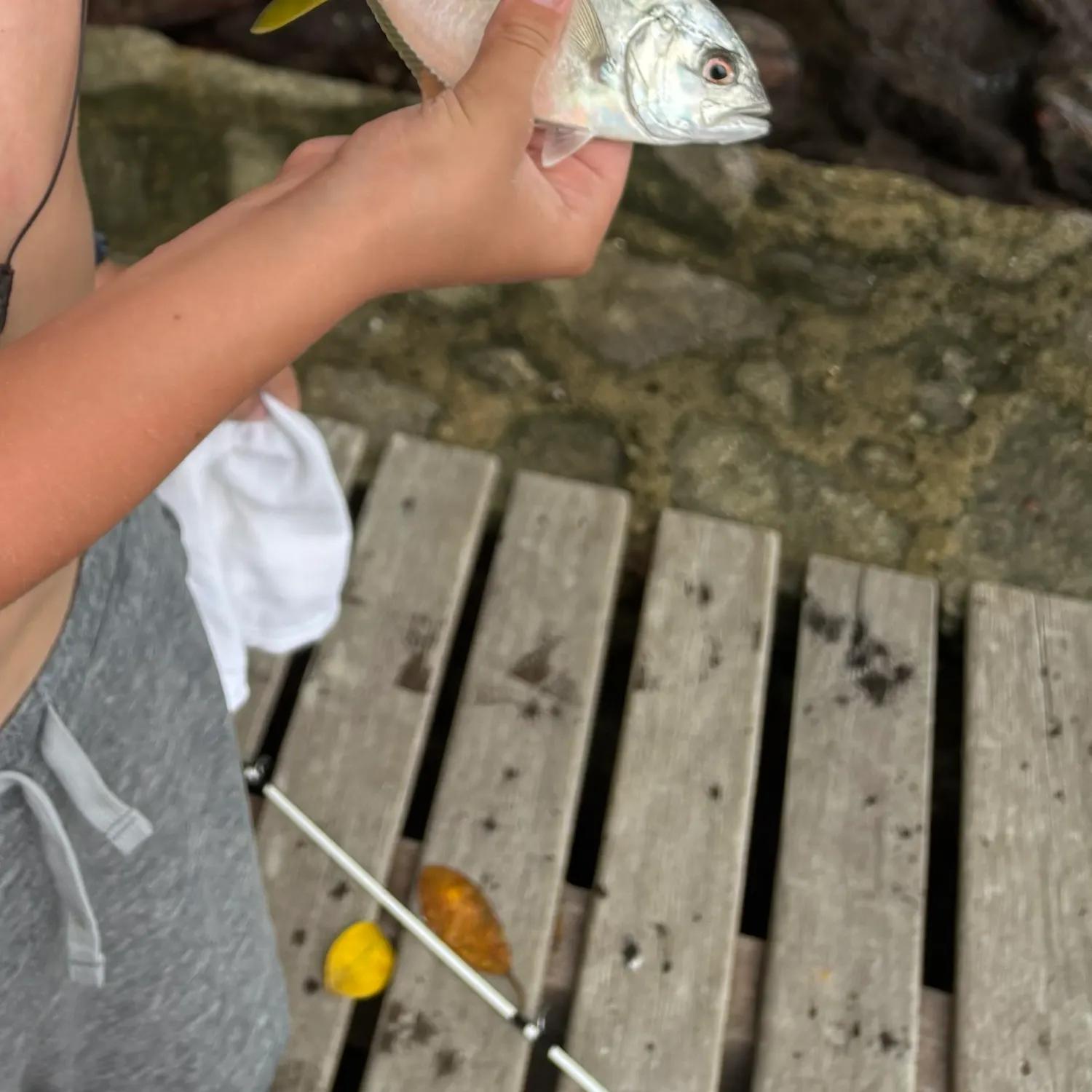 Crevalle jack caught on Fishbrain