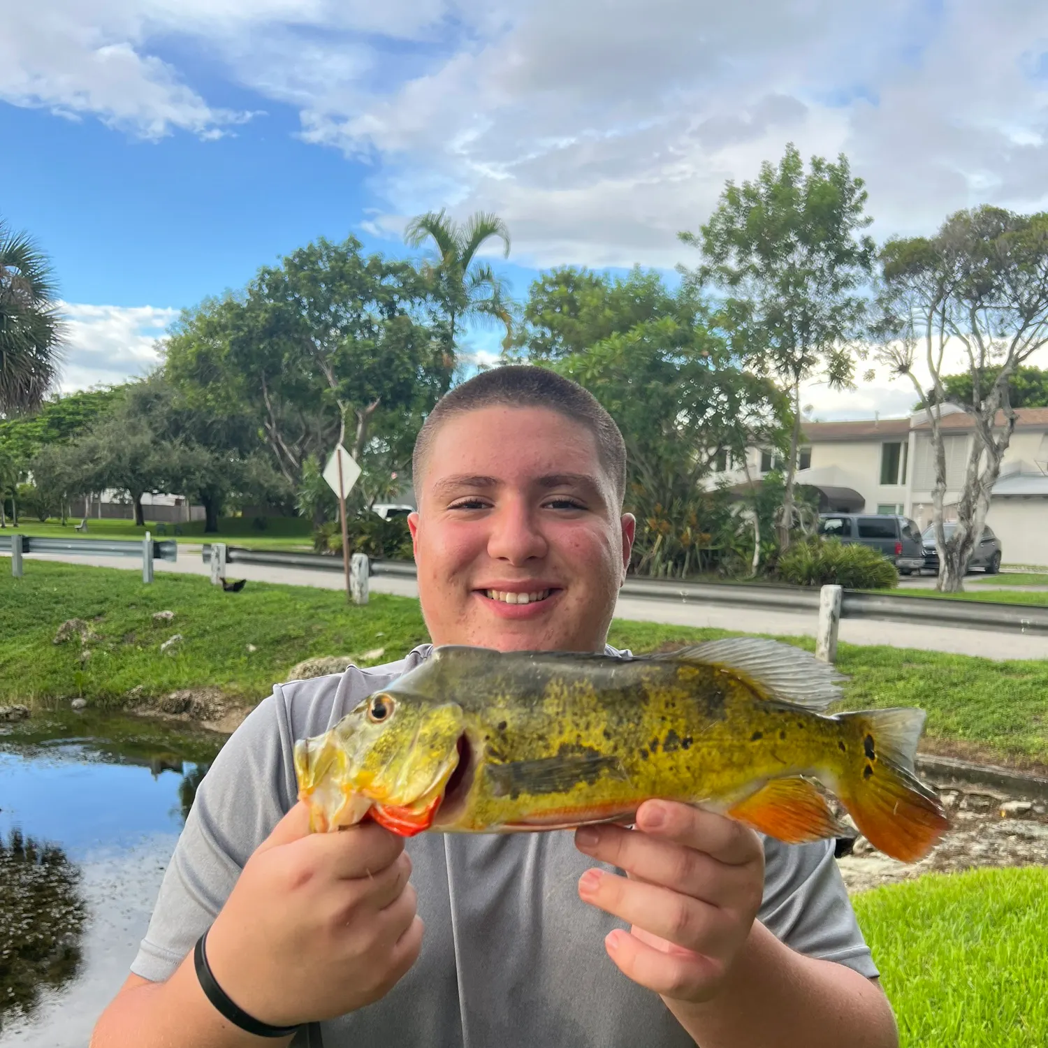 The most recent Butterfly peacock bass catches on Fishbrain