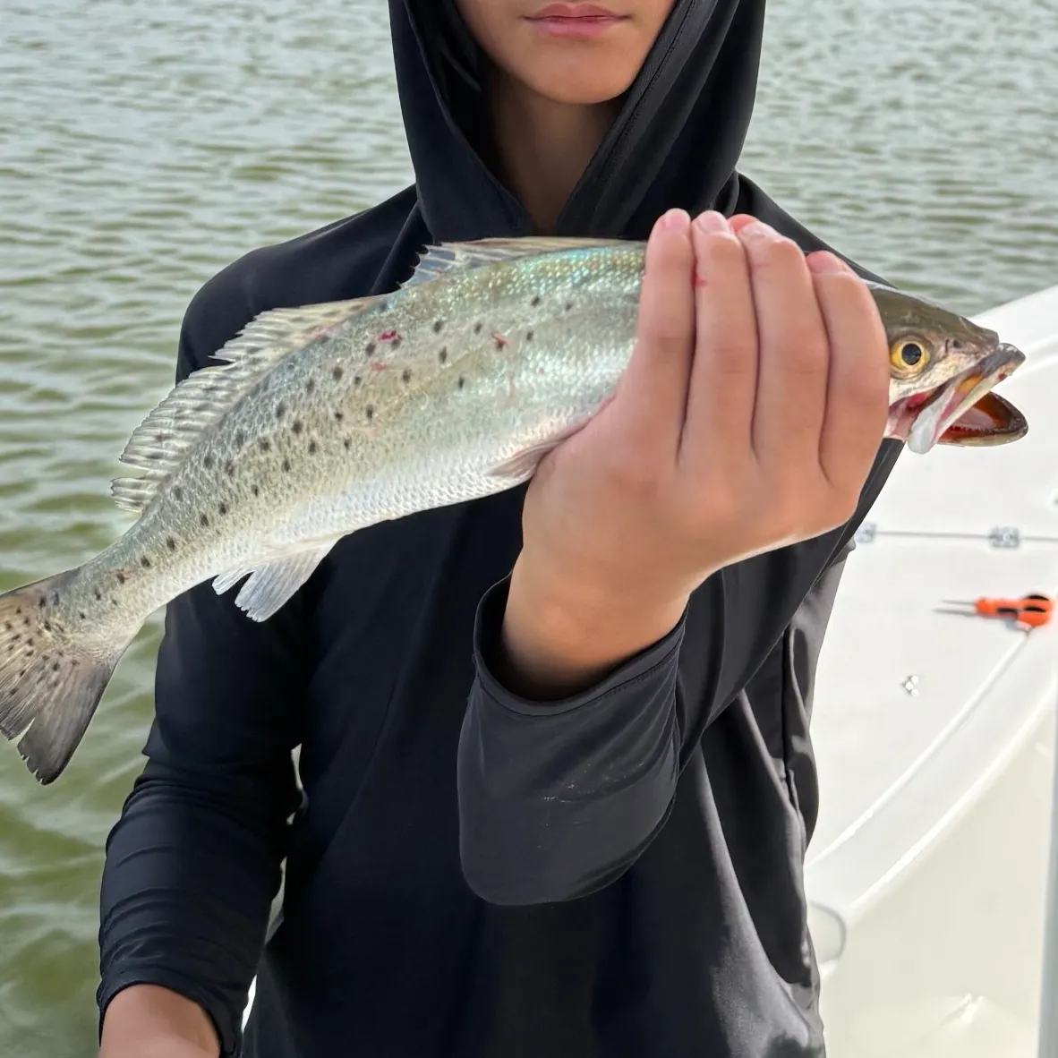 Spotted seatrout caught on Fishbrain