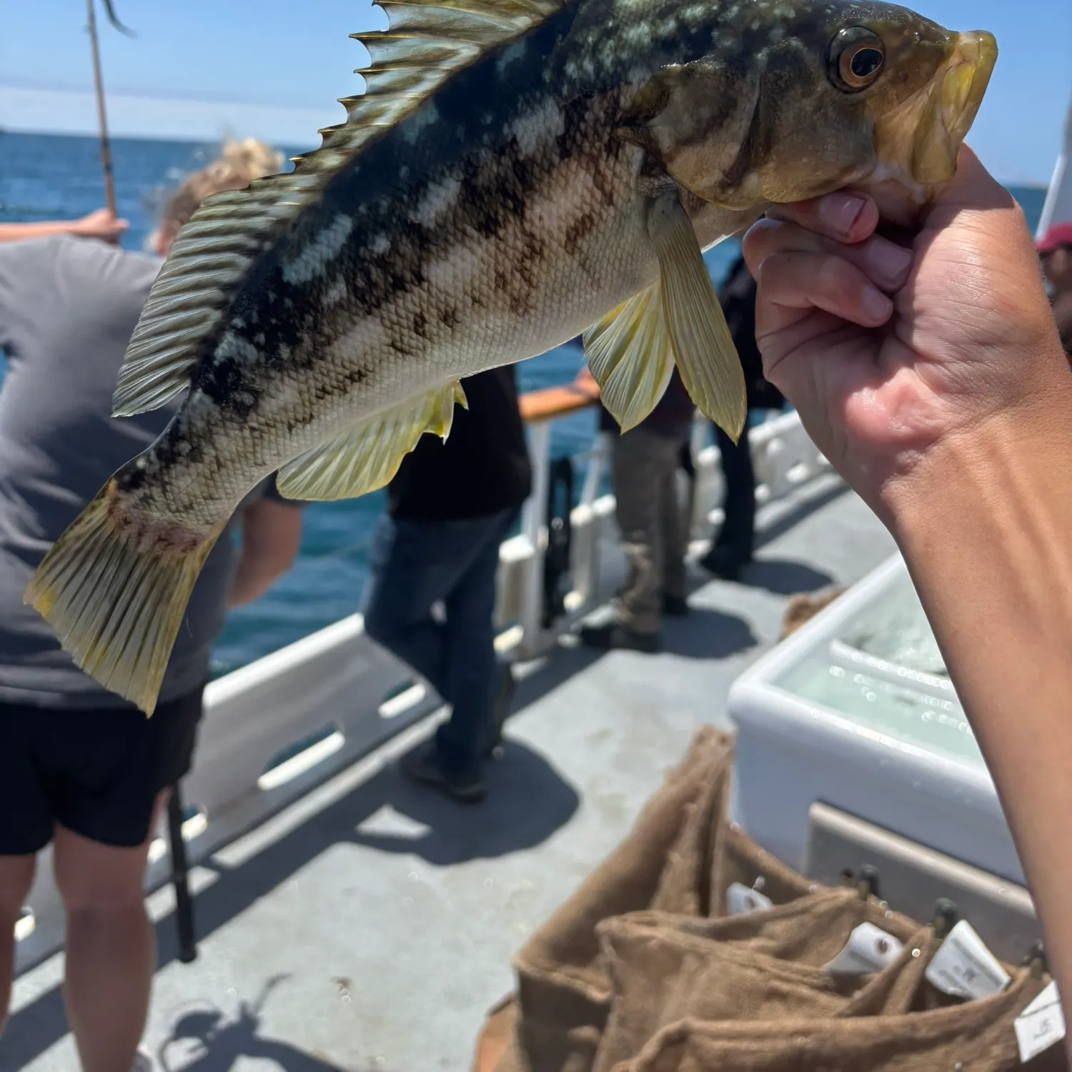 catch