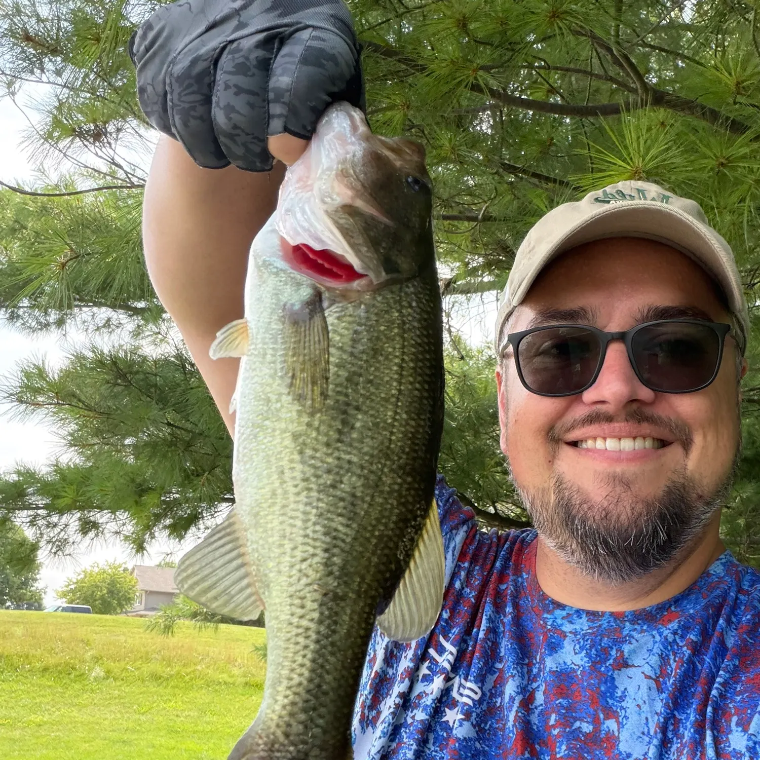 Largemouth bass caught on Fishbrain