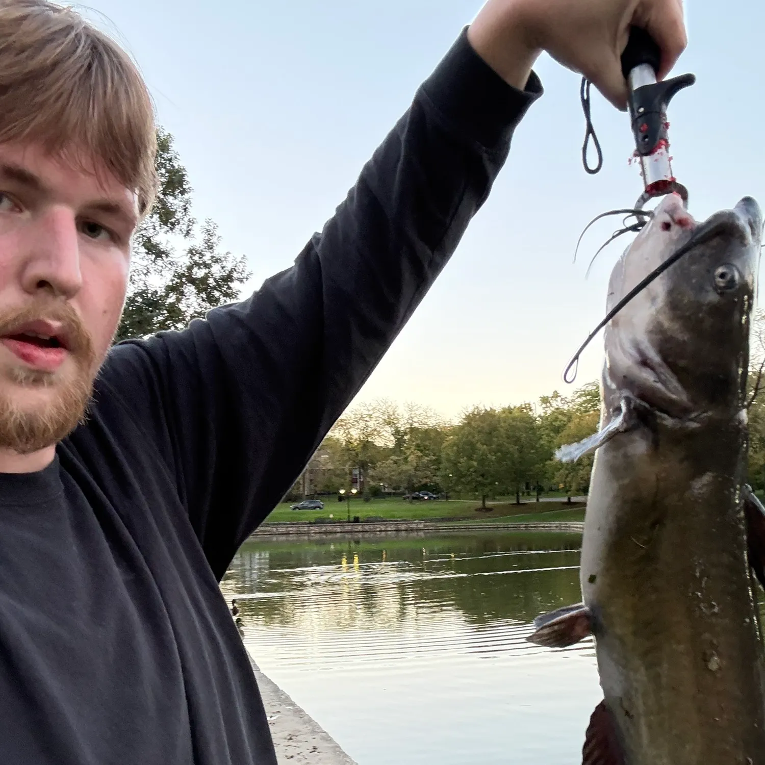Channel catfish caught on Fishbrain