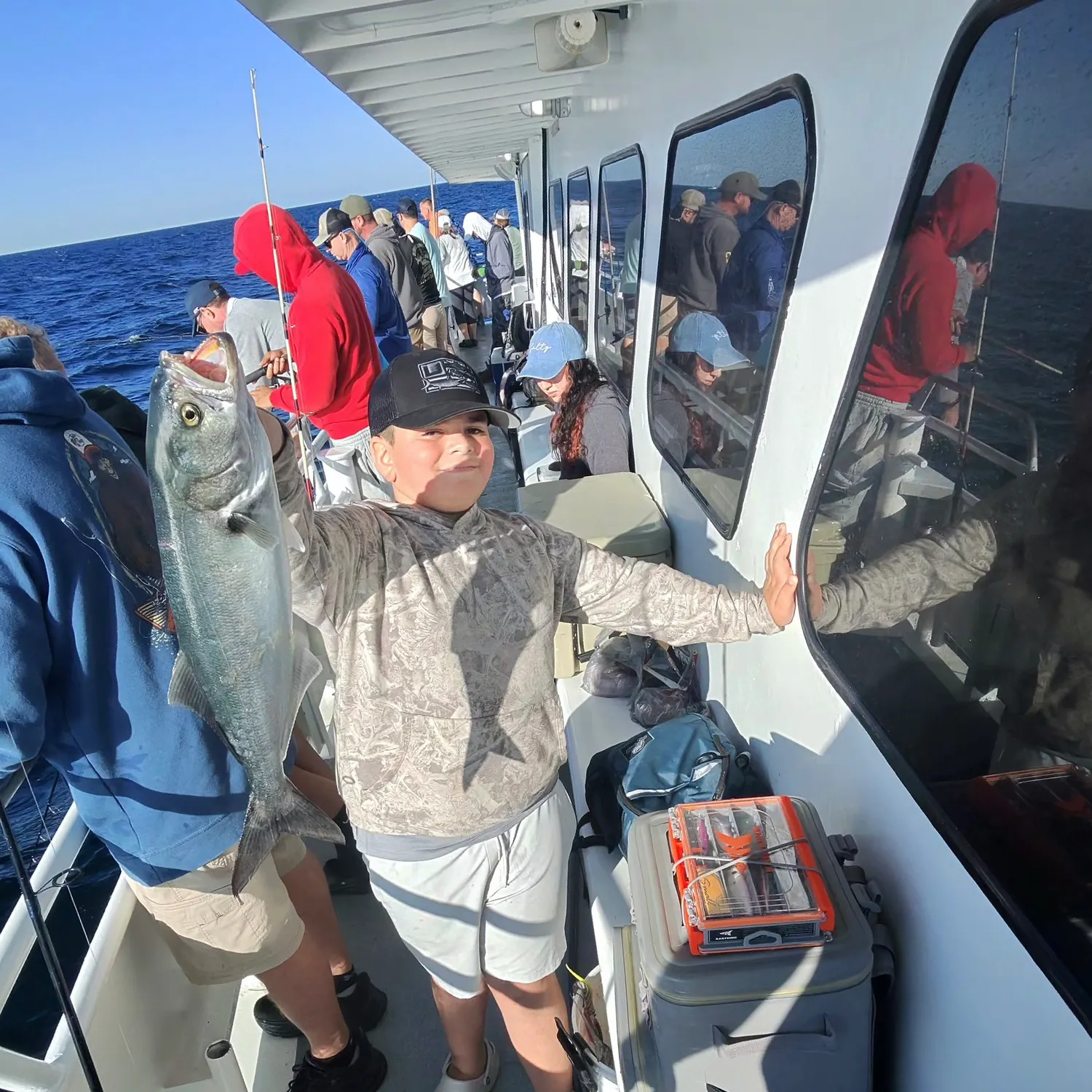 The most recent Bluefish catches on Fishbrain