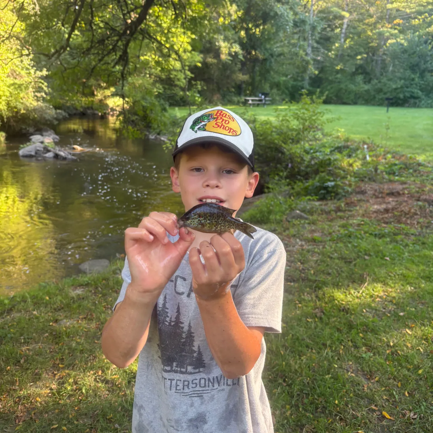Redear sunfish caught on Fishbrain