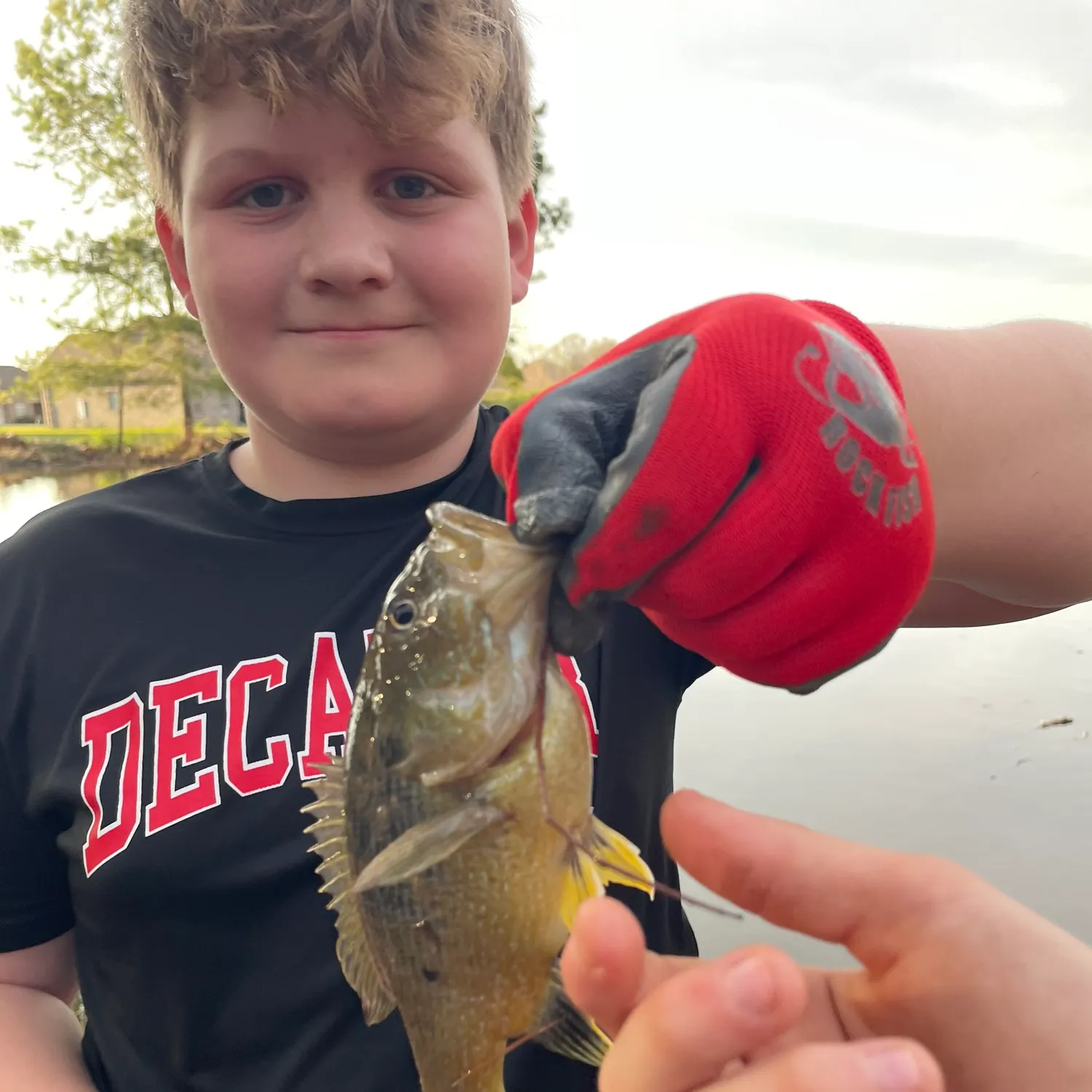 The most recent Green sunfish catches on Fishbrain
