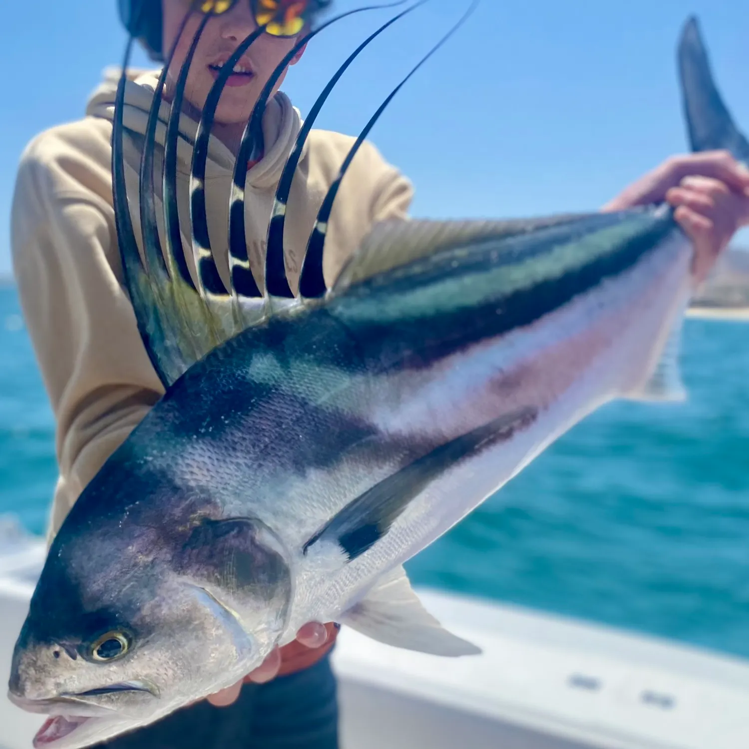 The most popular recent Roosterfish catch on Fishbrain