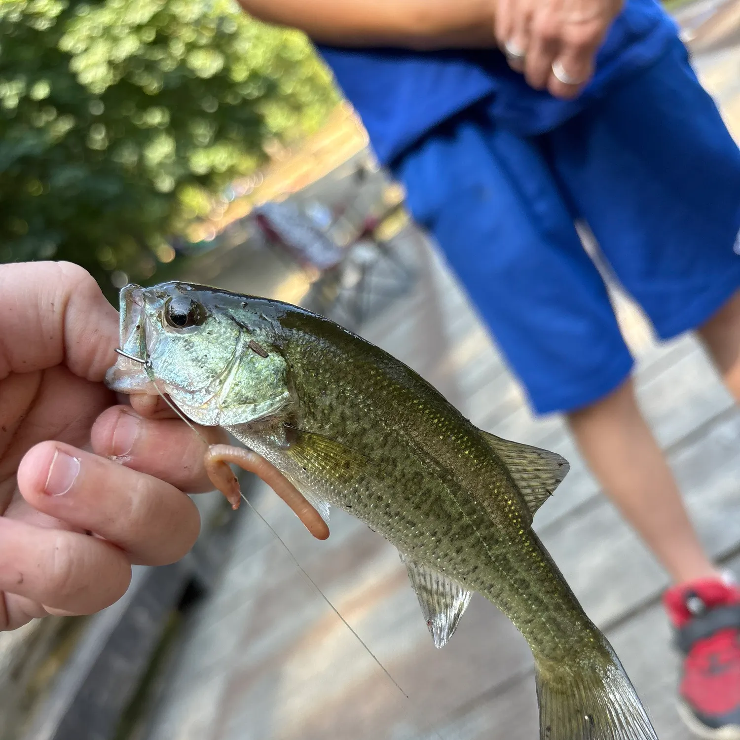 catch